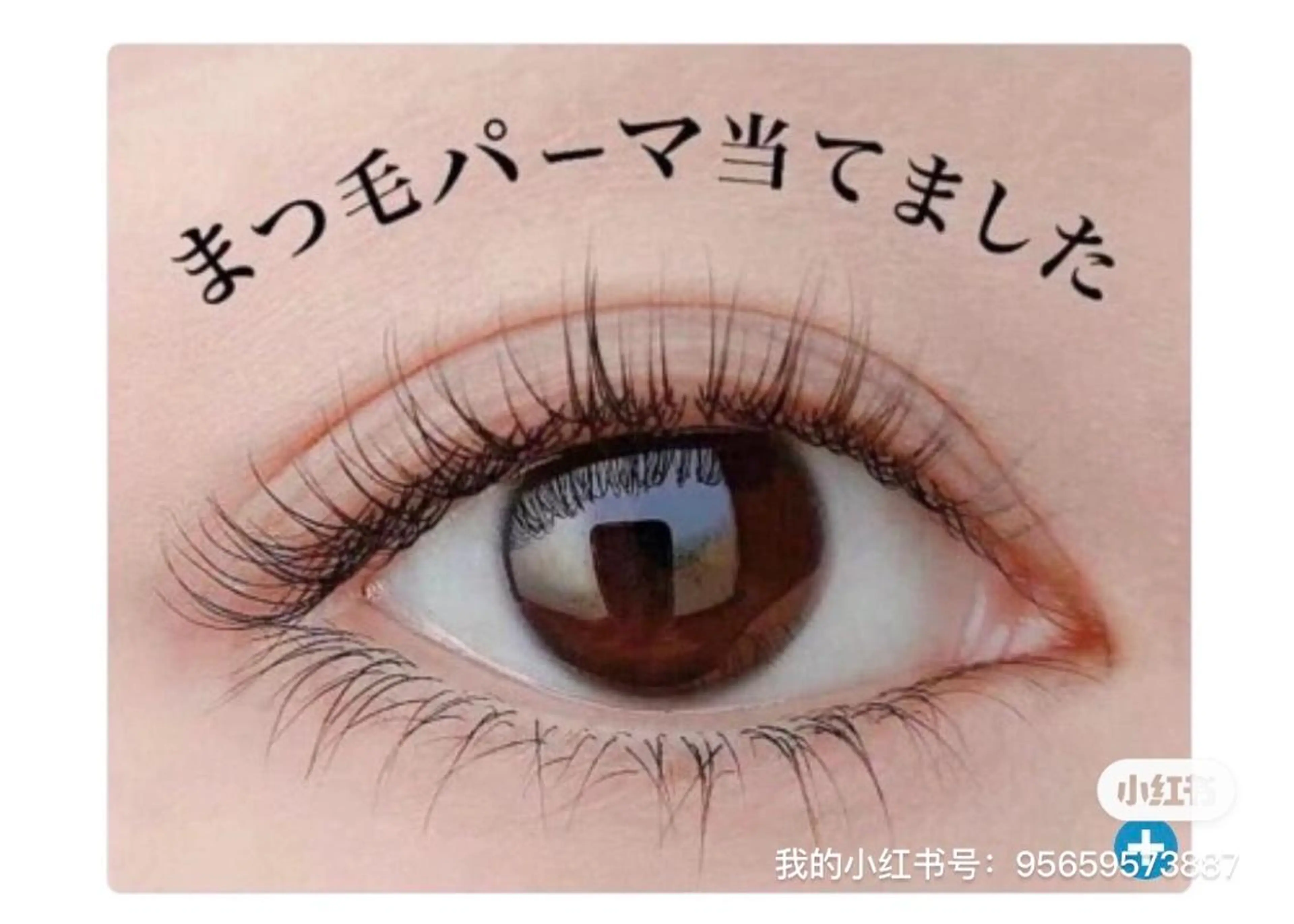 パーマ 神保町まつげ•パーマ みすずのマツエク・マツパデザイン