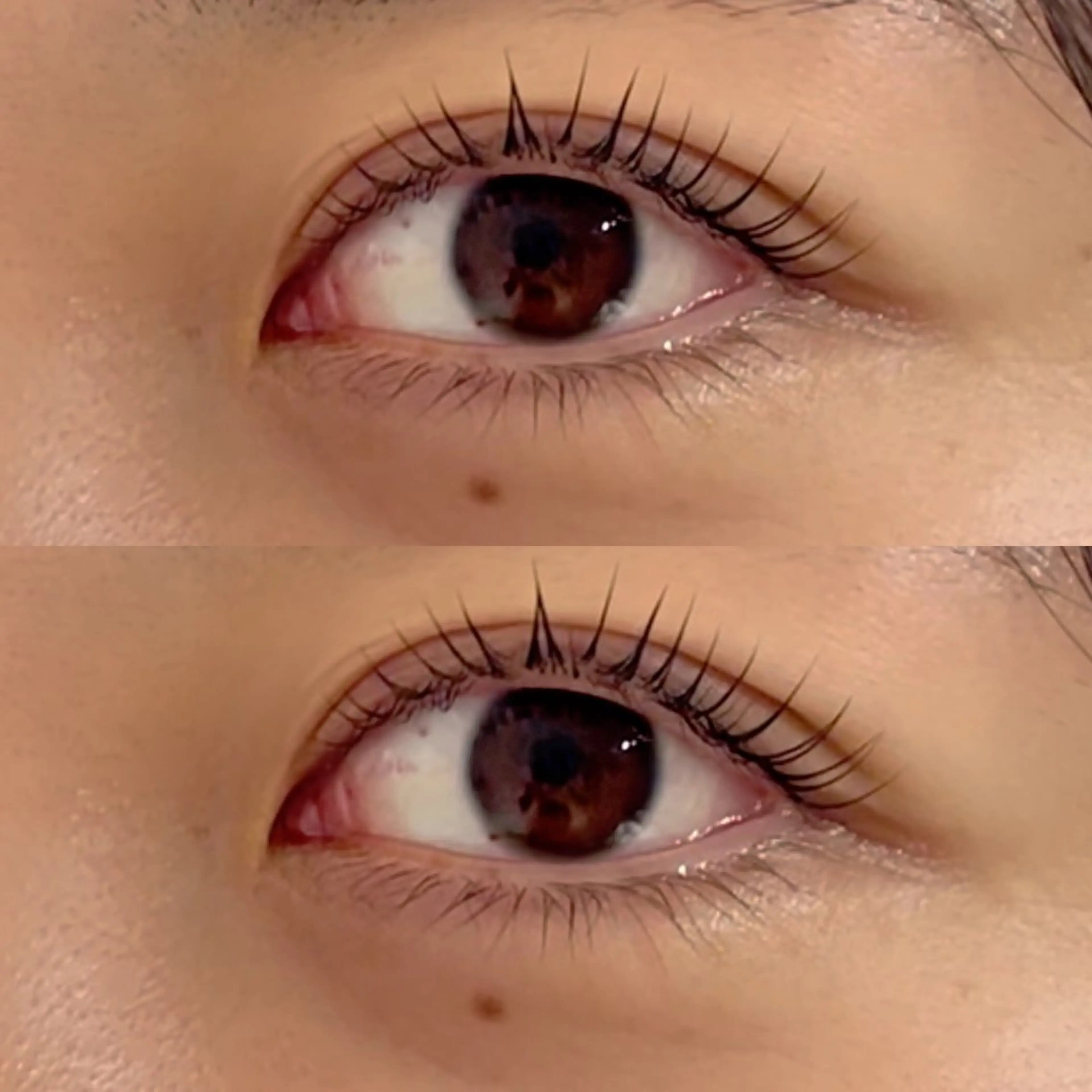 マツエク・マツパ 一重×まつ毛パーマ SAKUKU韓国式 まつ毛パーマ専門店のマツエク・マツパデザイン