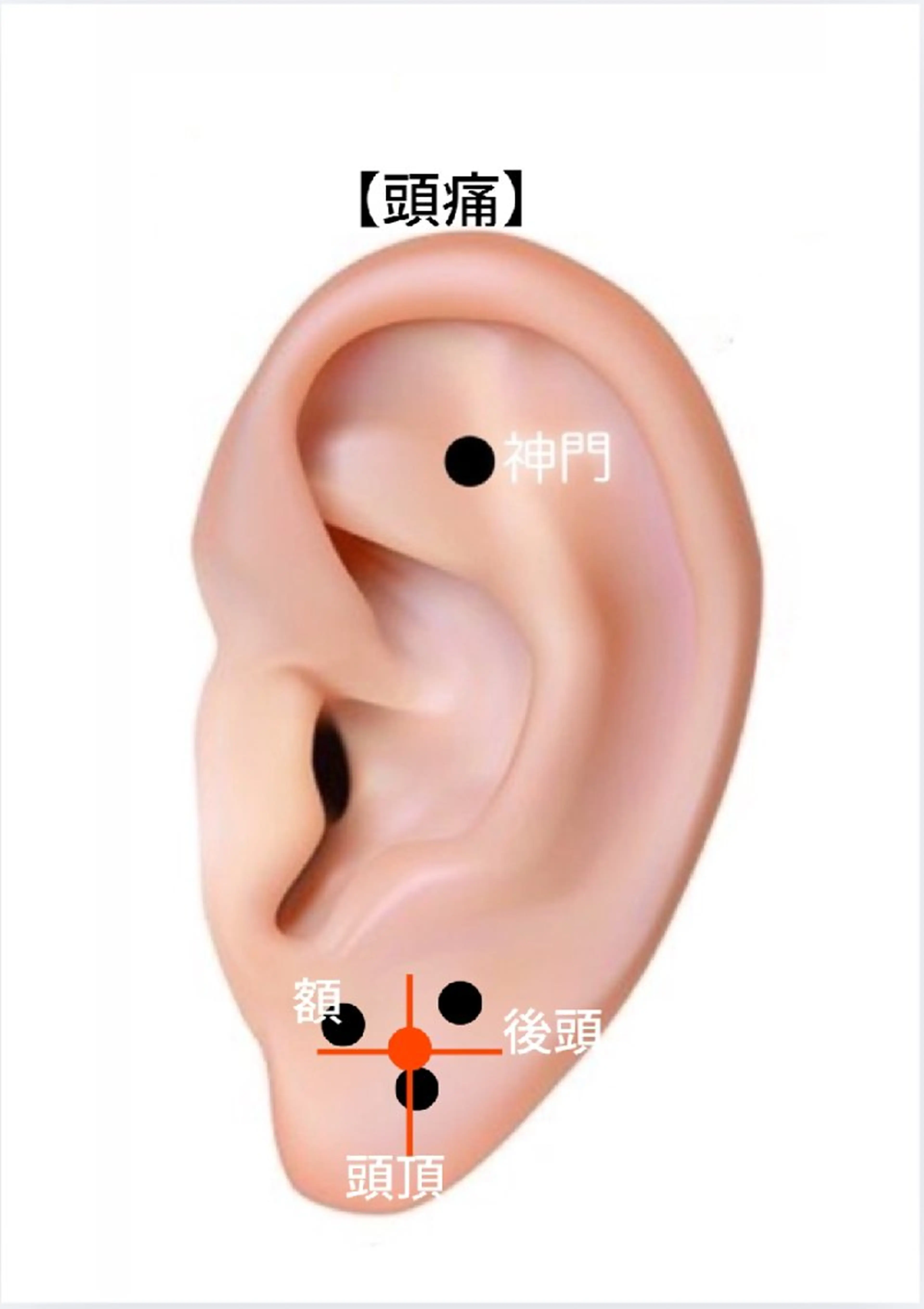  SOLEIL 小玉の眉毛・アイブロウイメージ