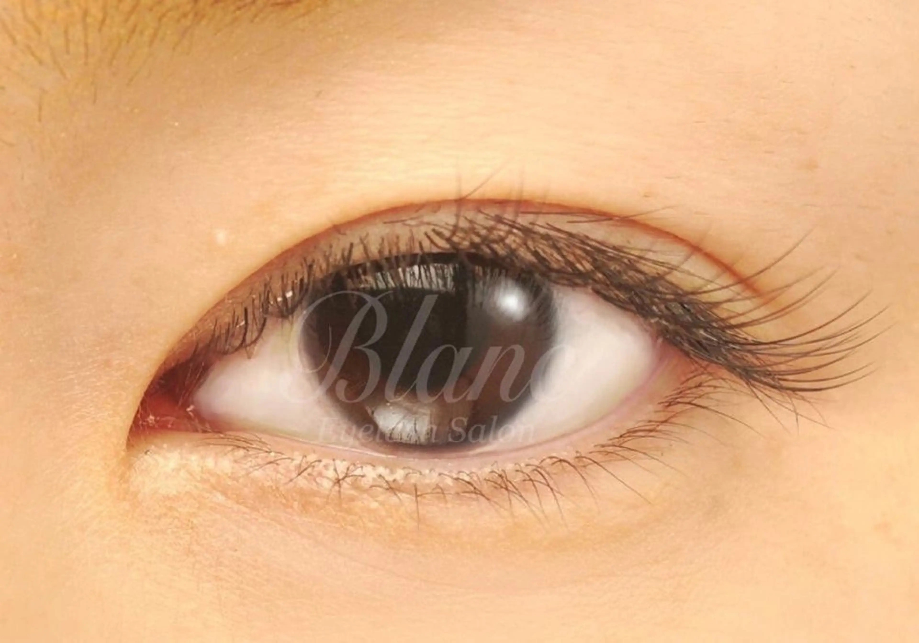 マツエク・マツパ Blanc ヨコタのマツエク・マツパデザイン