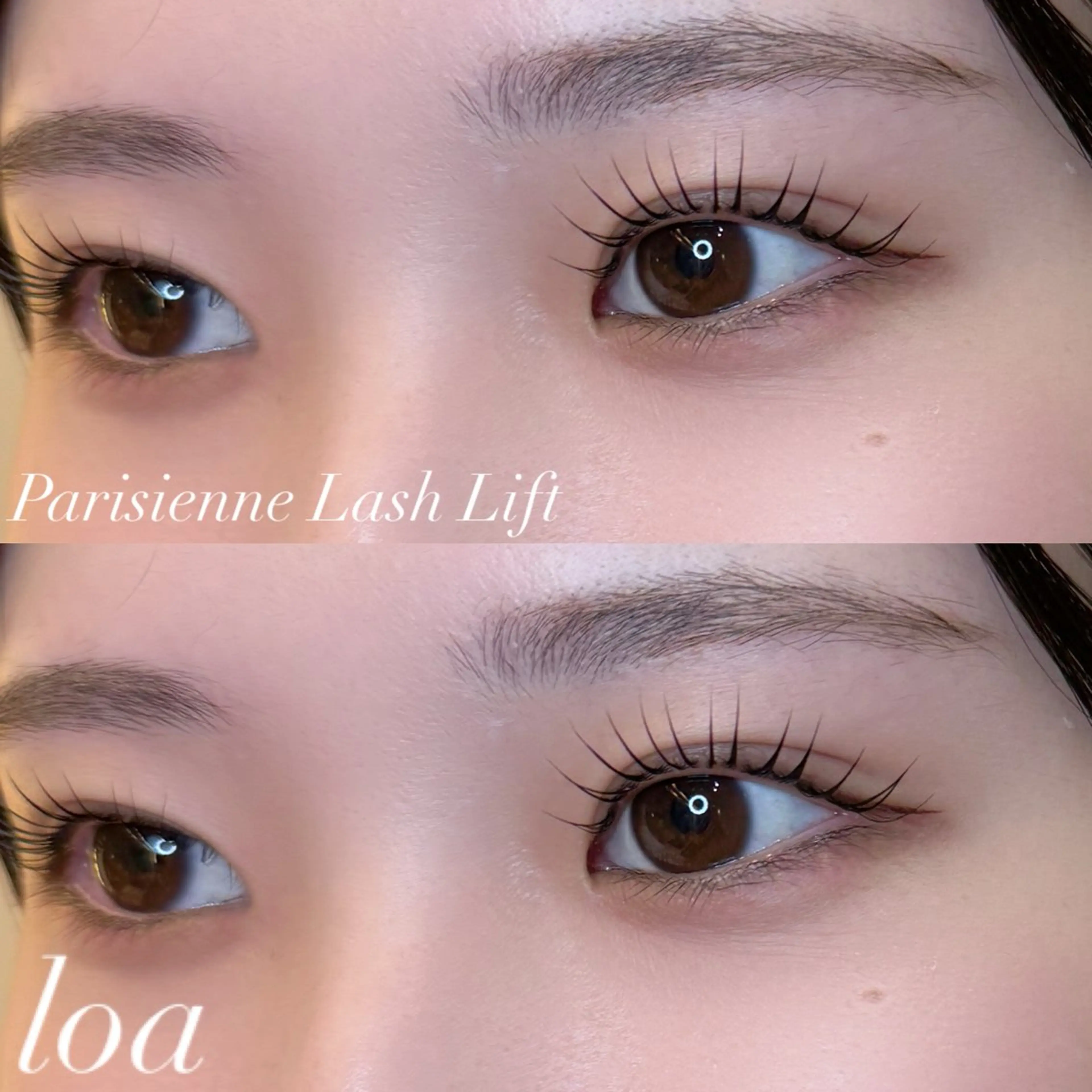 マツエク・マツパ バインドロック 束感まつ毛 フラットラッシュ 韓国風マツエク パリジェンヌラッシュリフト loa🦋/幸町店/ 賀谷佳美のマツエク・マツパデザイン