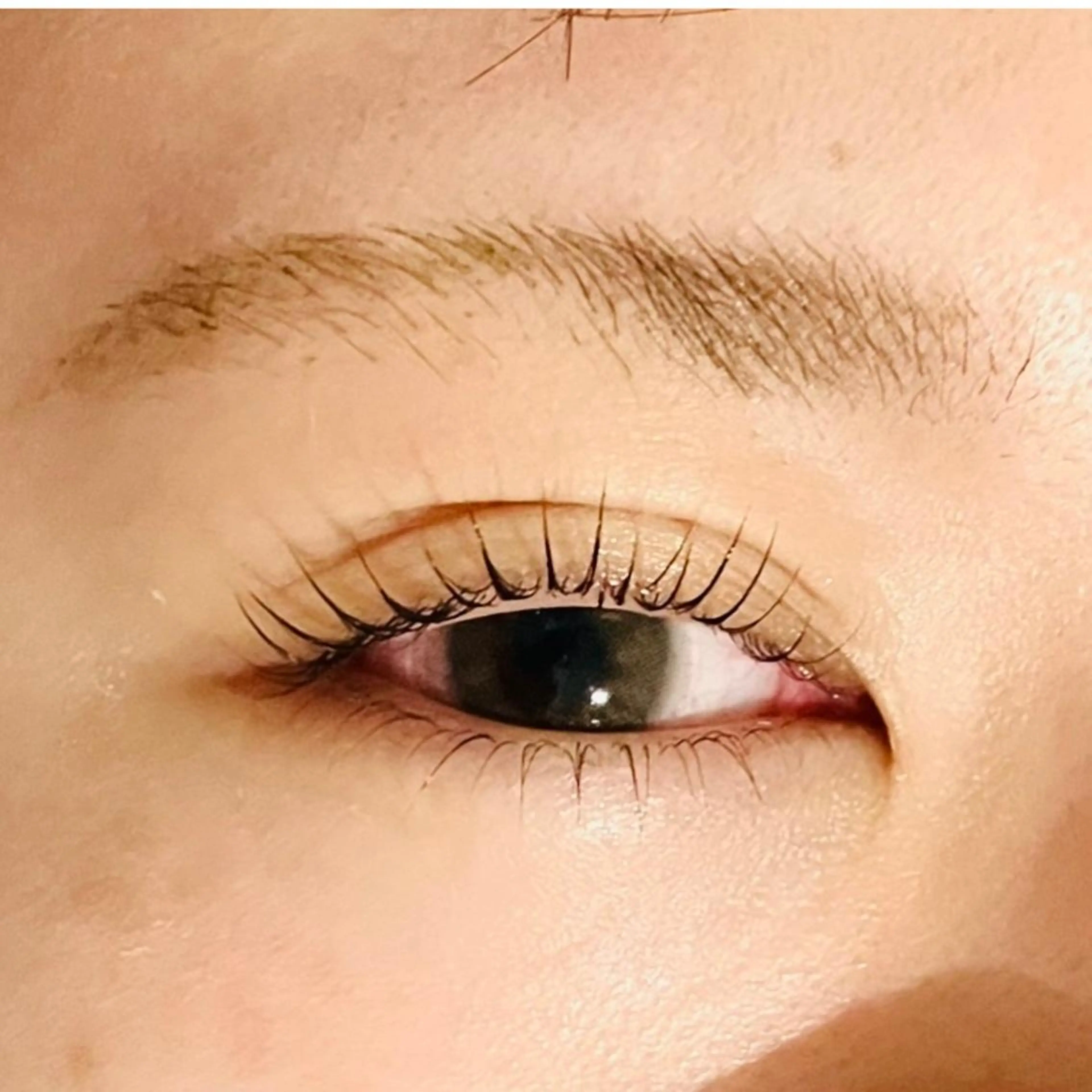 マツエク・マツパ まつげパーマ 下まつげエクステ フジ ワラのマツエク・マツパデザイン