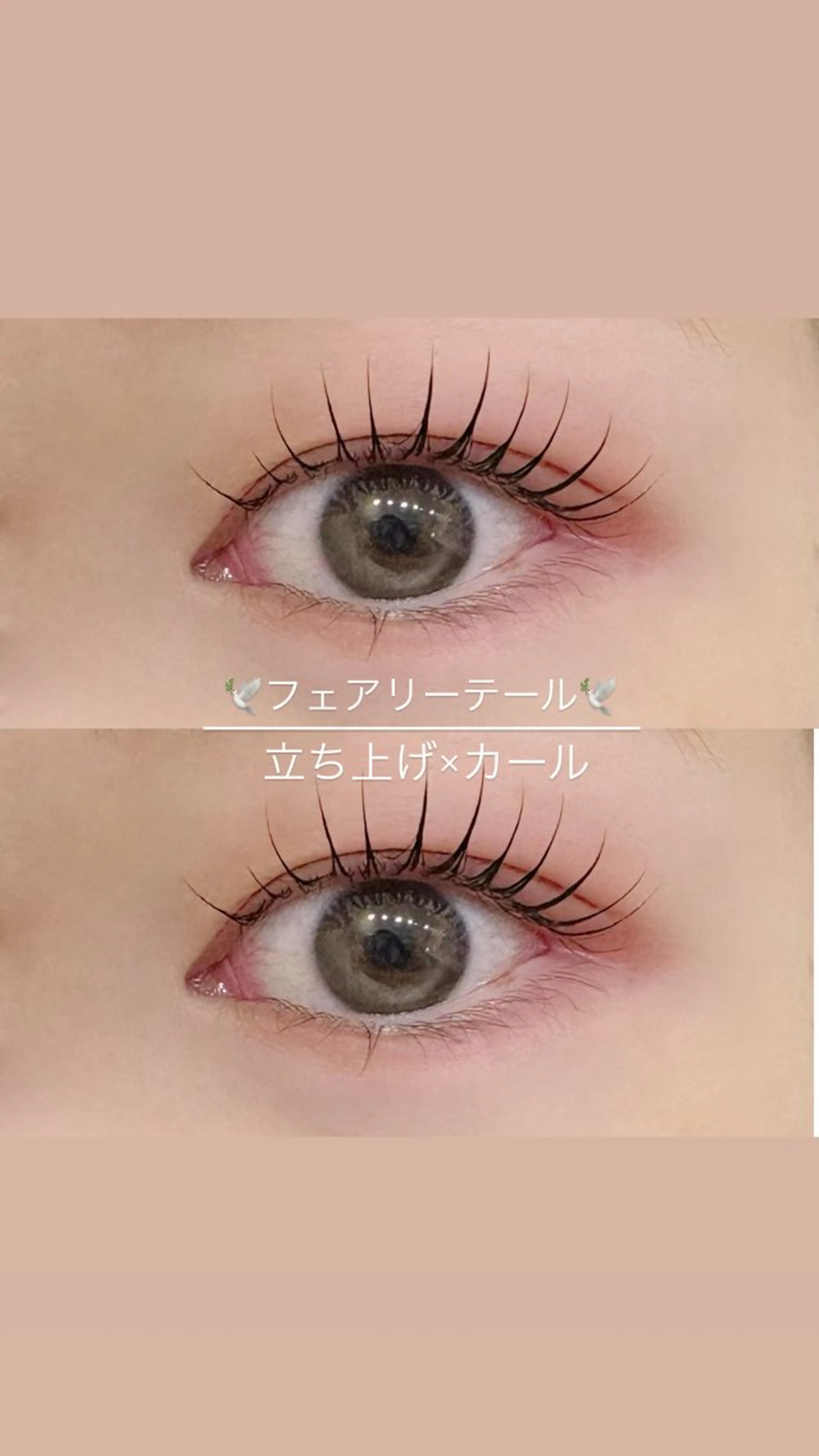 【まつげパーマ★立ち上げ×弱カール】  フェアリーテール  ￥3480の写真