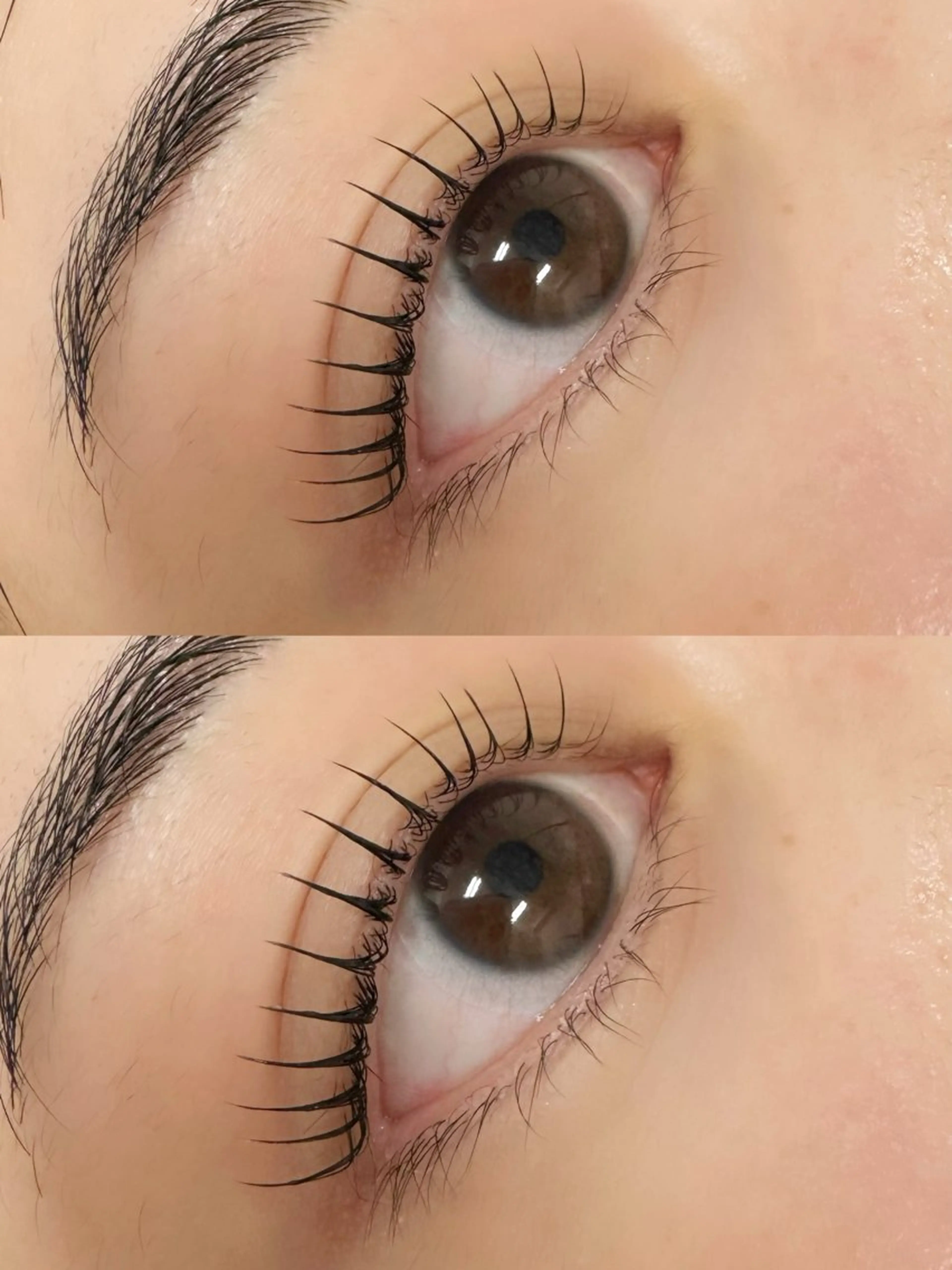 まつ毛パーマ/パリジェンヌ 上下🇰🇷🩶韓国ロッド対応＋ケラチンTrケア＆束感仕上げの写真