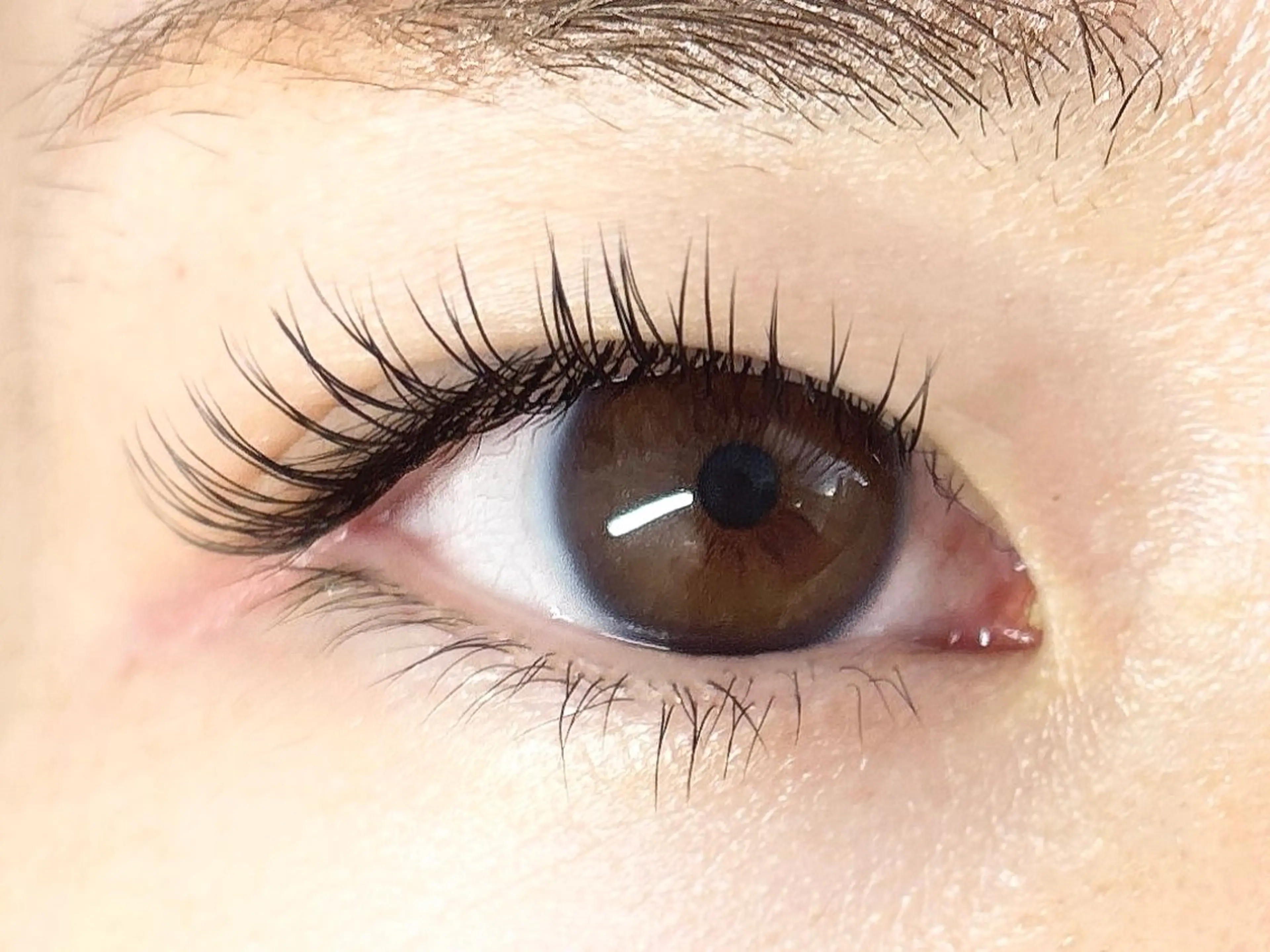 マツエク・マツパ Cカール フラットラッシュ マツエク アイラッシュサロン【エフドゥ】所属・中村彩香 (エフドゥ)のマツエク・マツパデザイン