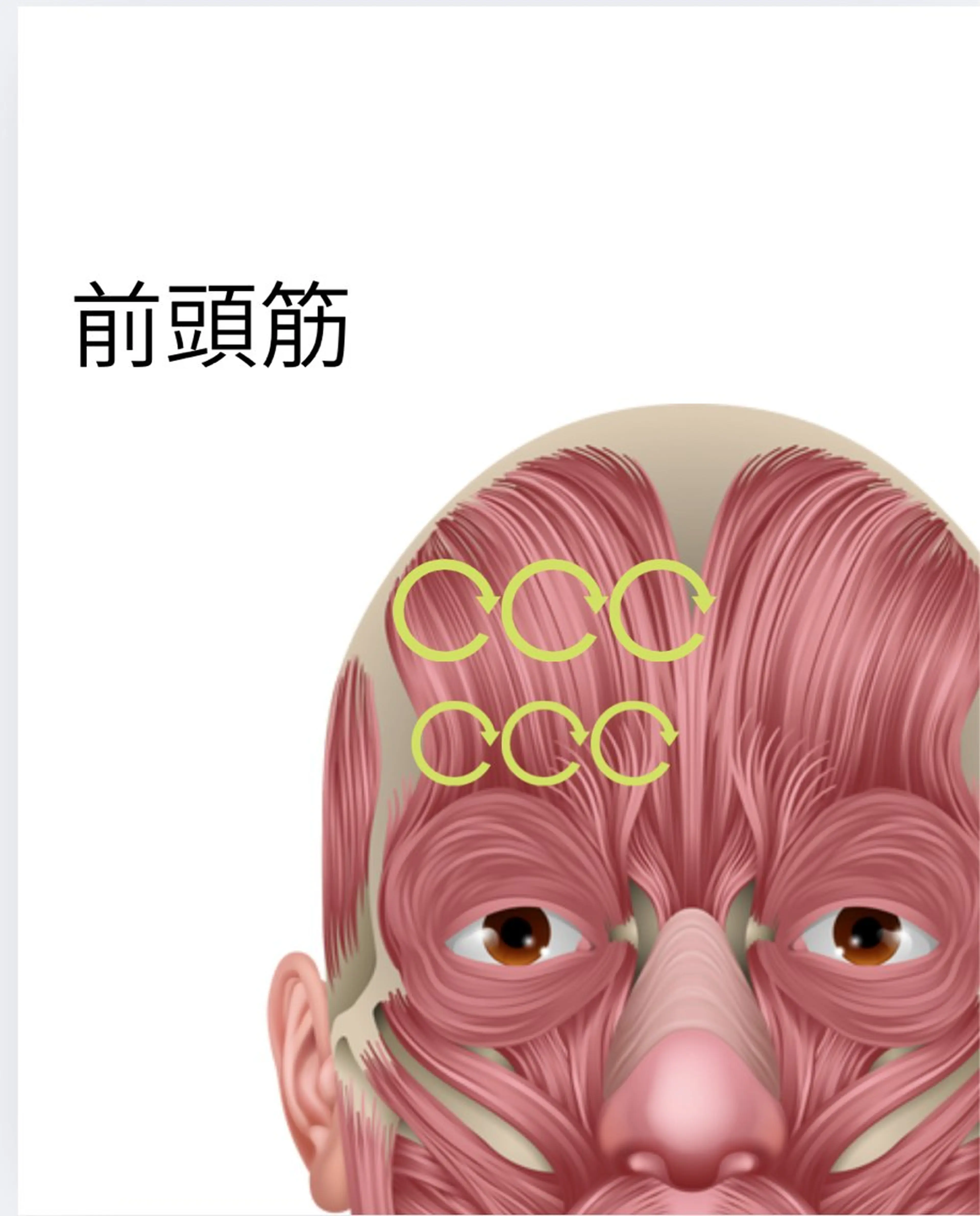 整体院すずまる所属・パーソナルカラー骨格 診断✖️ボディメイクのその他イメージ