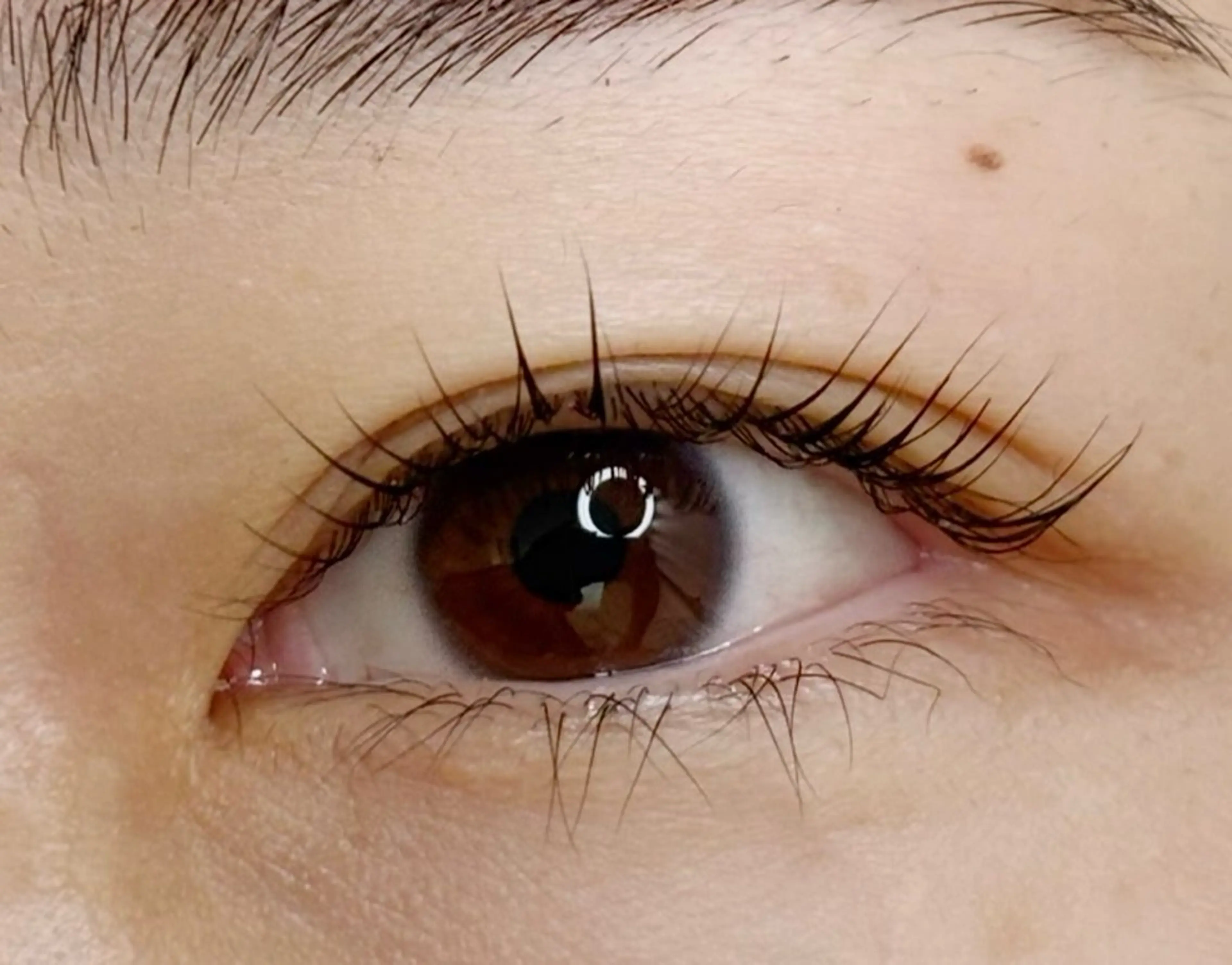 マツエク・マツパ ナチュラル 一重×まつ毛パーマ tres AYANEのマツエク・マツパデザイン