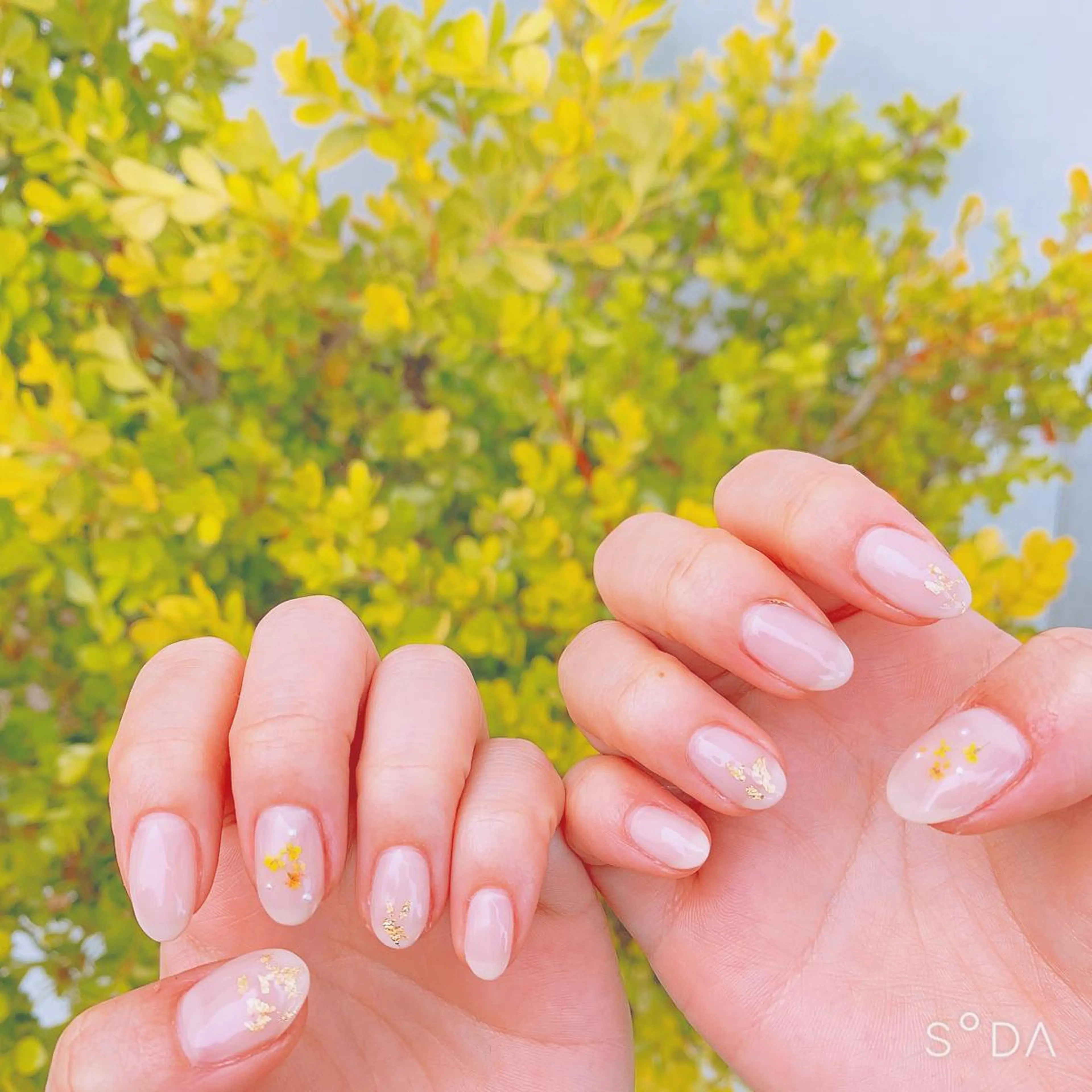 ネイル シンプルネイル ホワイト Rena colore'のネイルデザイン