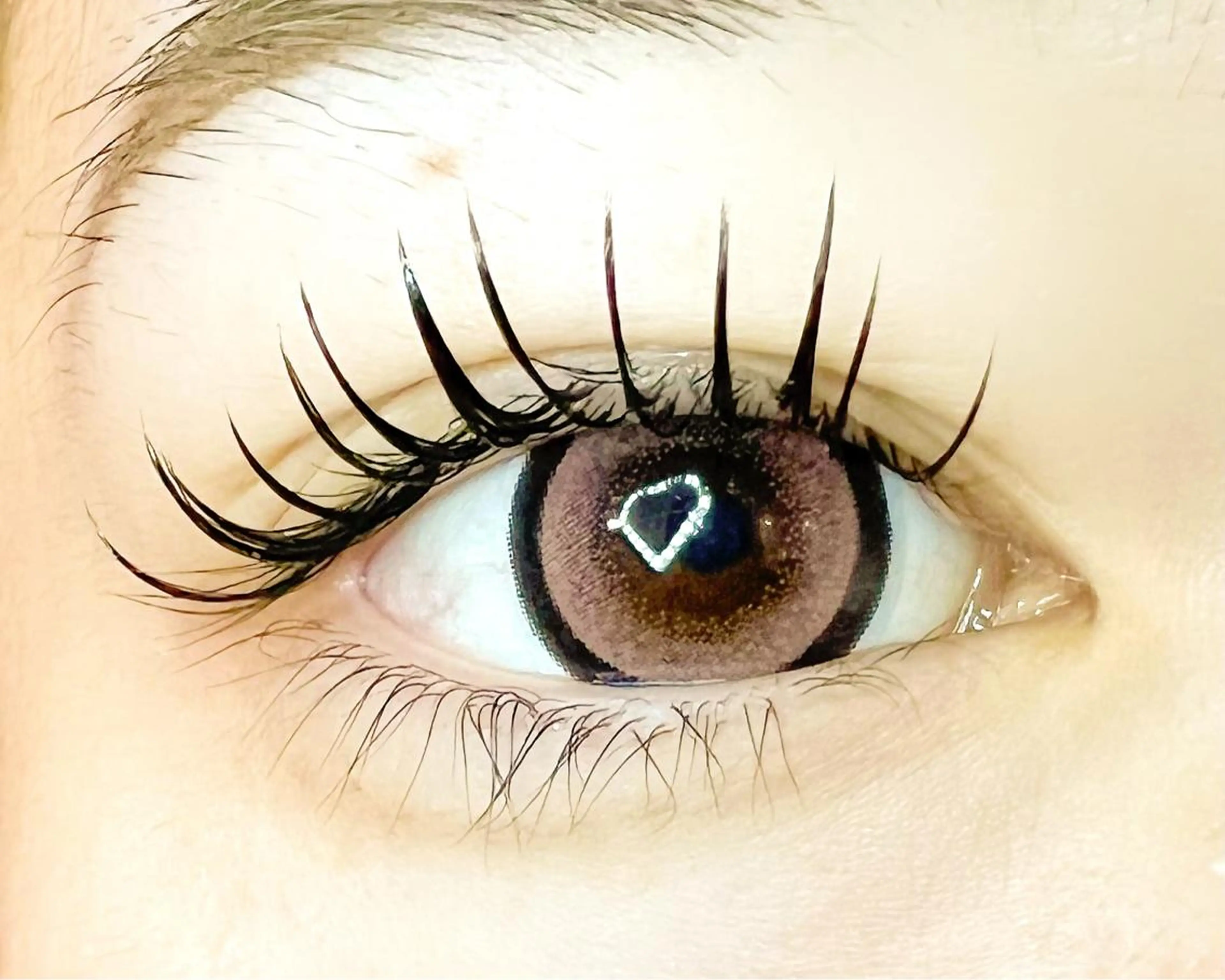 マツエク・マツパ バインドロック Celeste Venus所属・🧸Celeste Venusのマツエク・マツパデザイン