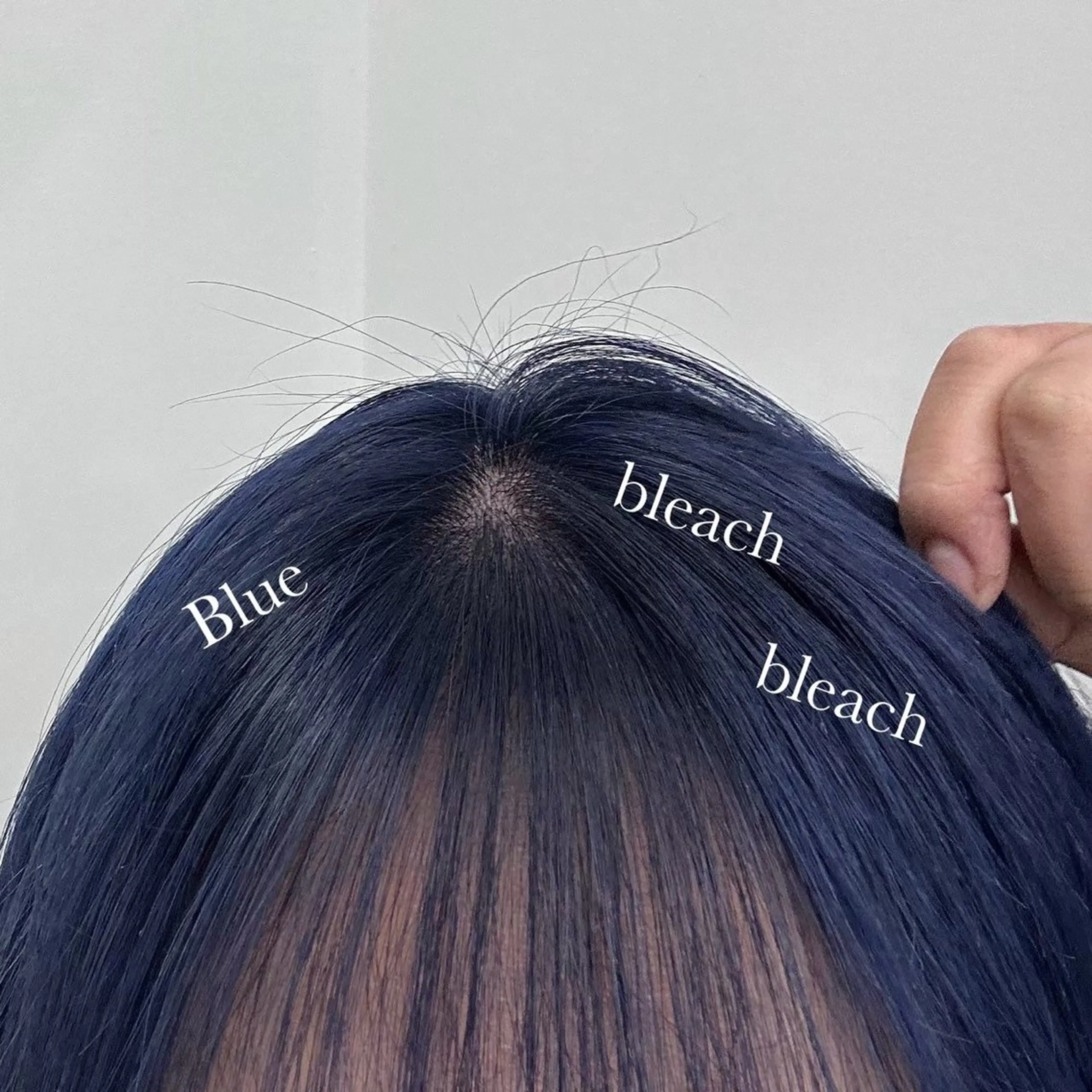 カラー little×RINNE 栄所属・栄美容師/ ふう💇🏼‍♀️のヘアスタイル