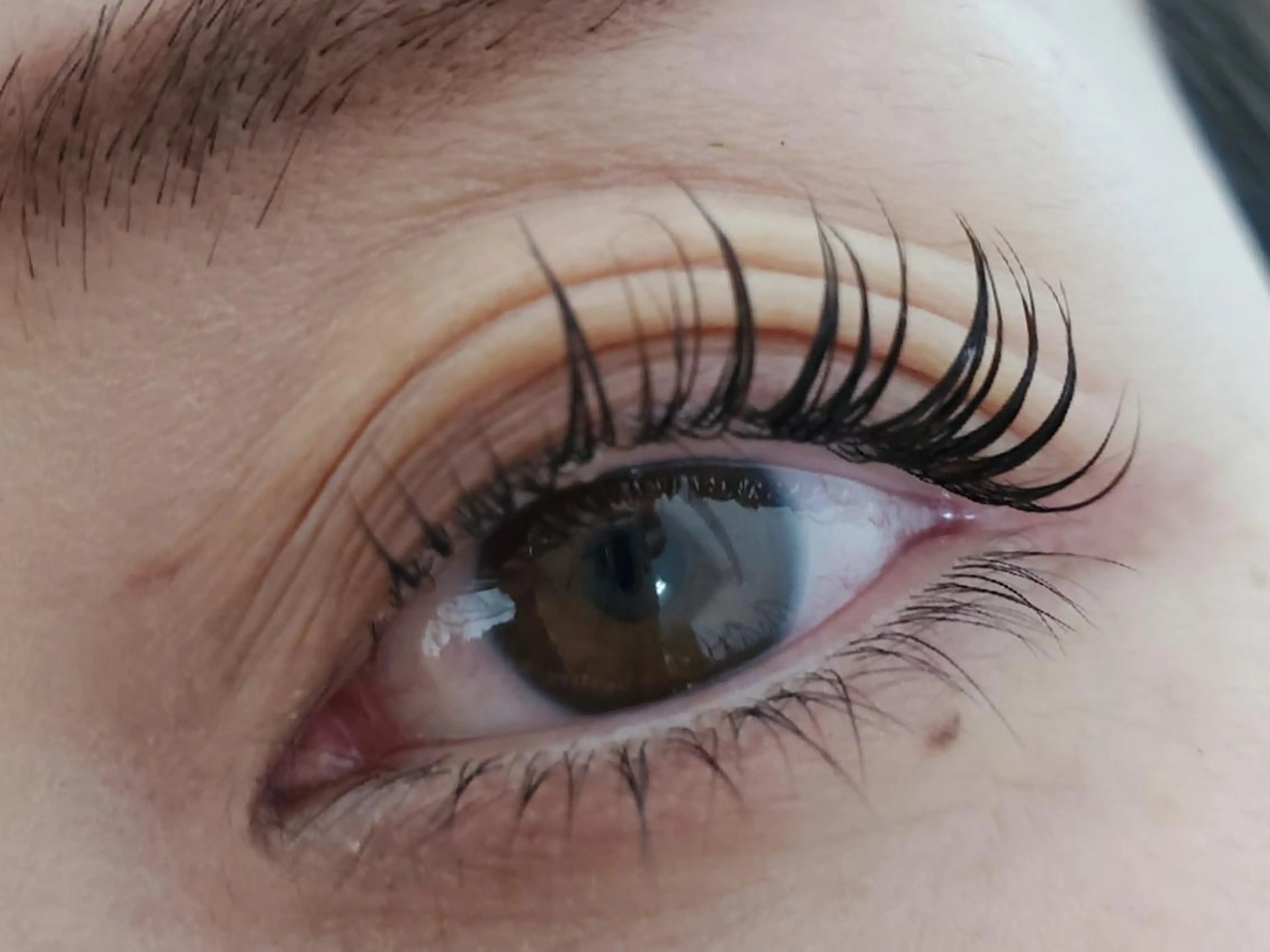 まつげカール&トリートメント・3回分(御本人以外でもご利用可能)の写真