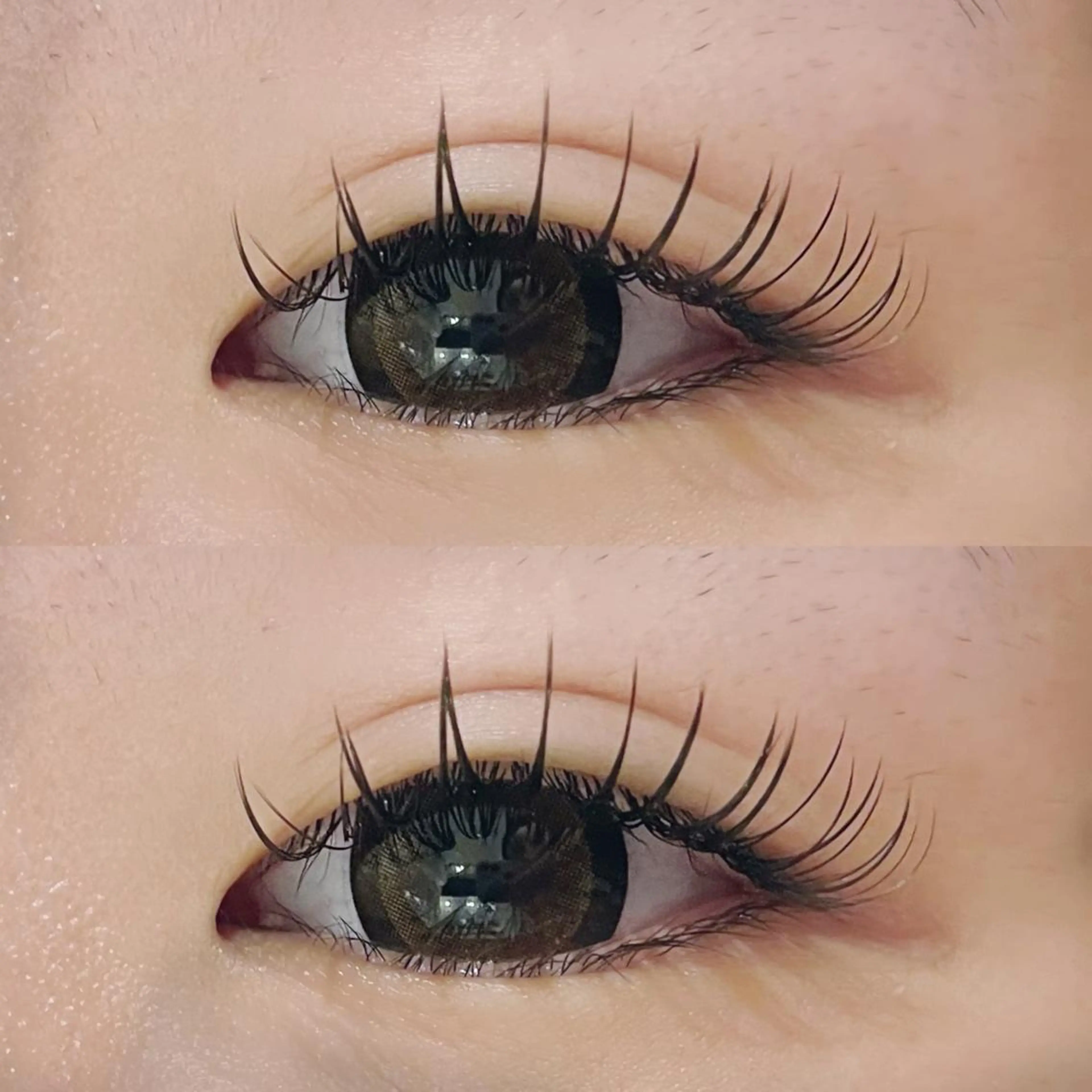 マツエク・マツパ マツエク riche eye_ aya🪞のマツエク・マツパデザイン