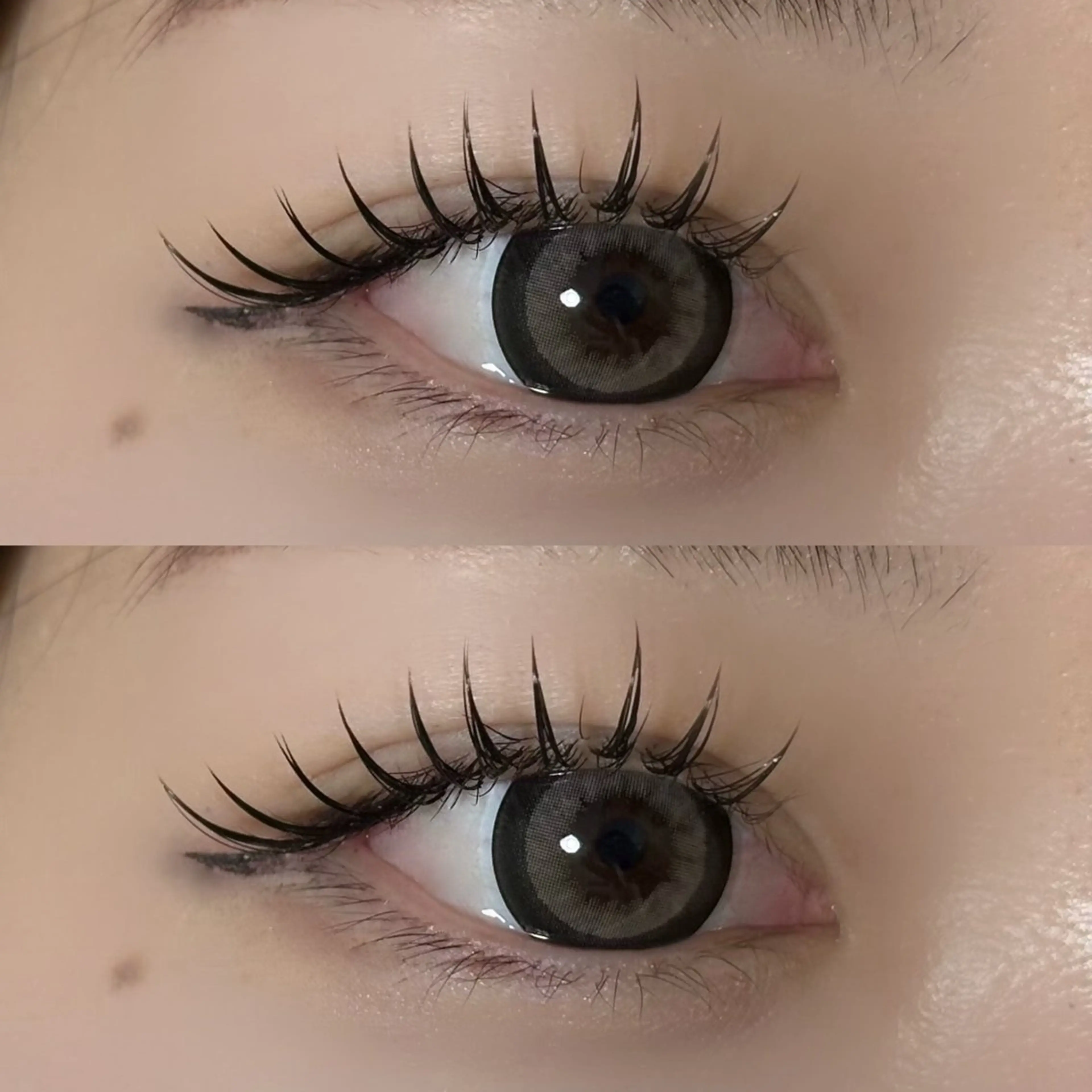 ダブルフラット40束（片目40本ずつ）​〜​80束（片目80本ずつ）の写真