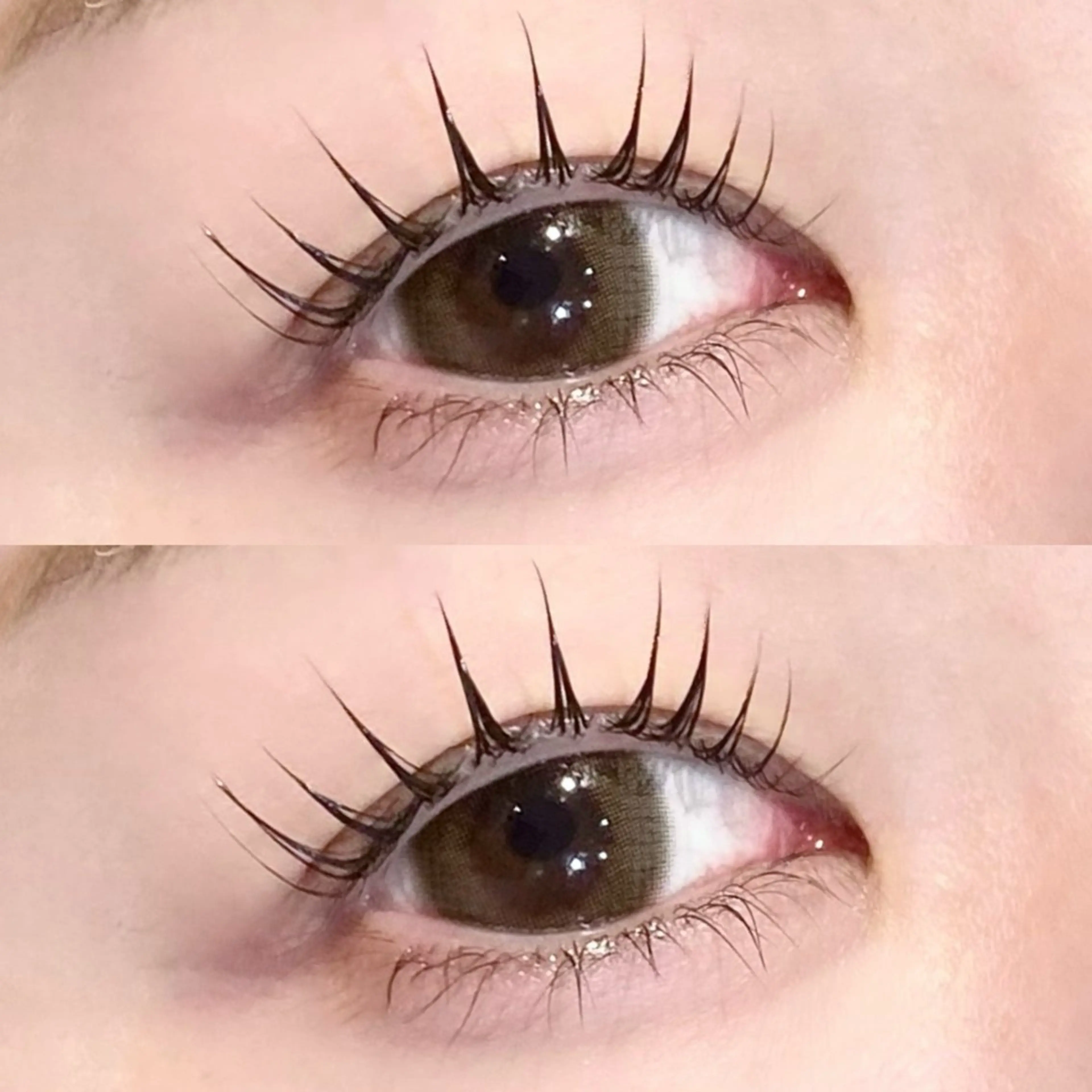 【学割U24】パリジェンヌ ラッシュリフト🖤 ⚠︎詳細を必ずお読み下さいの写真