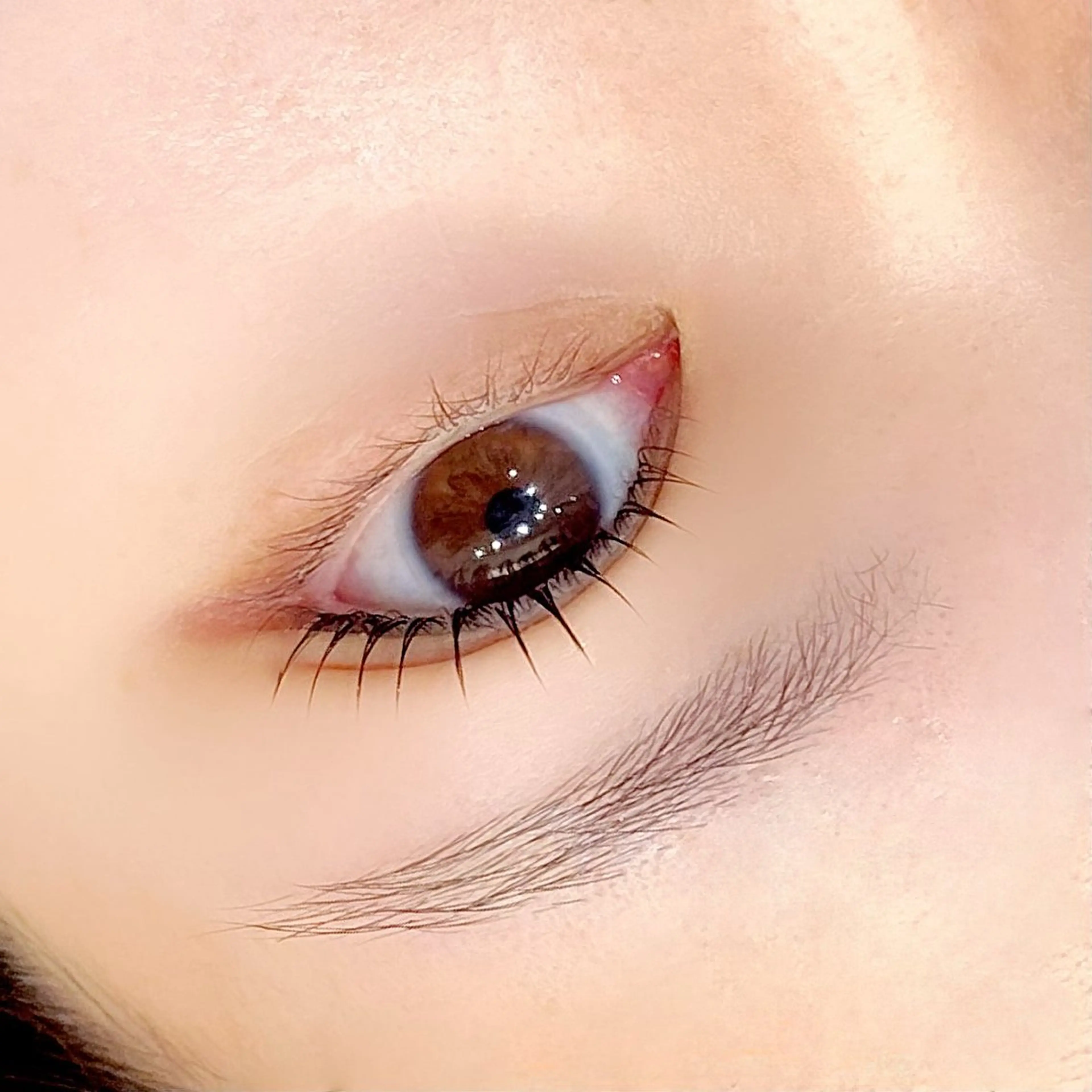 マツエク・マツパ MOUV所属・MOUV ふじみ野 HARUKAの眉毛・アイブロウイメージ