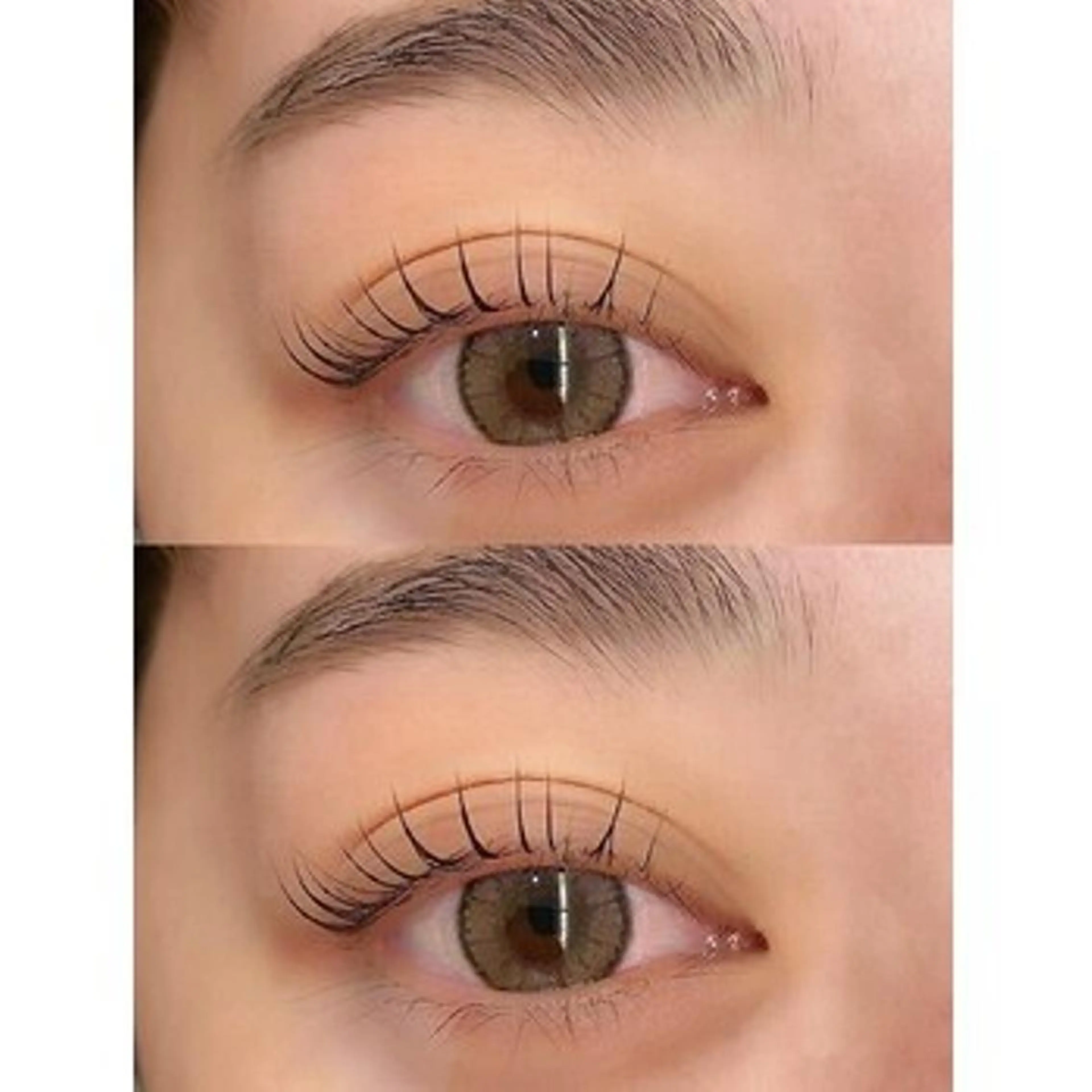 マツエク・マツパ ワンホンマツエク🌸 SAKURA🐈‍⬛のマツエク・マツパデザイン