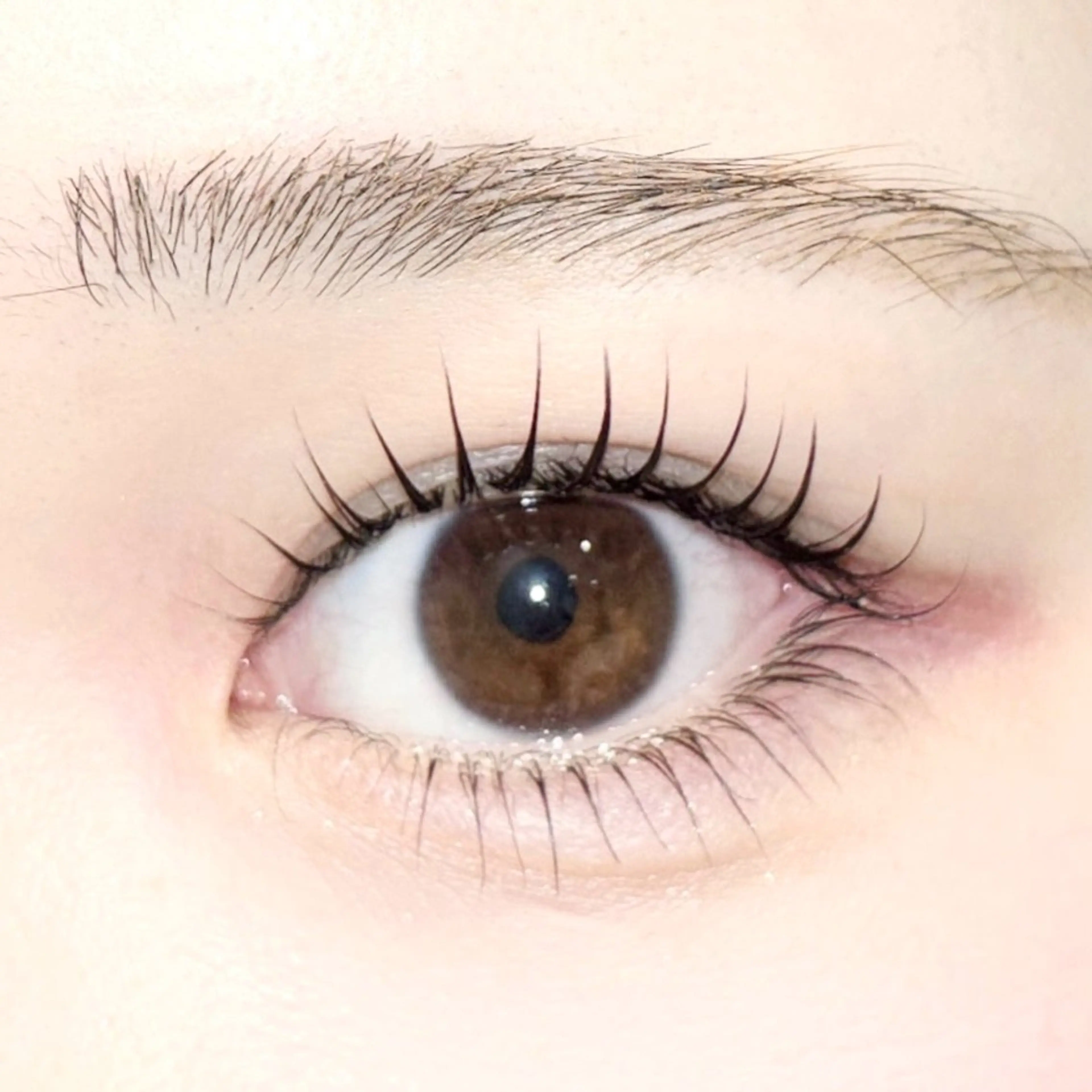 🫧パリジェンヌ上下  2回目8500円🫧の写真