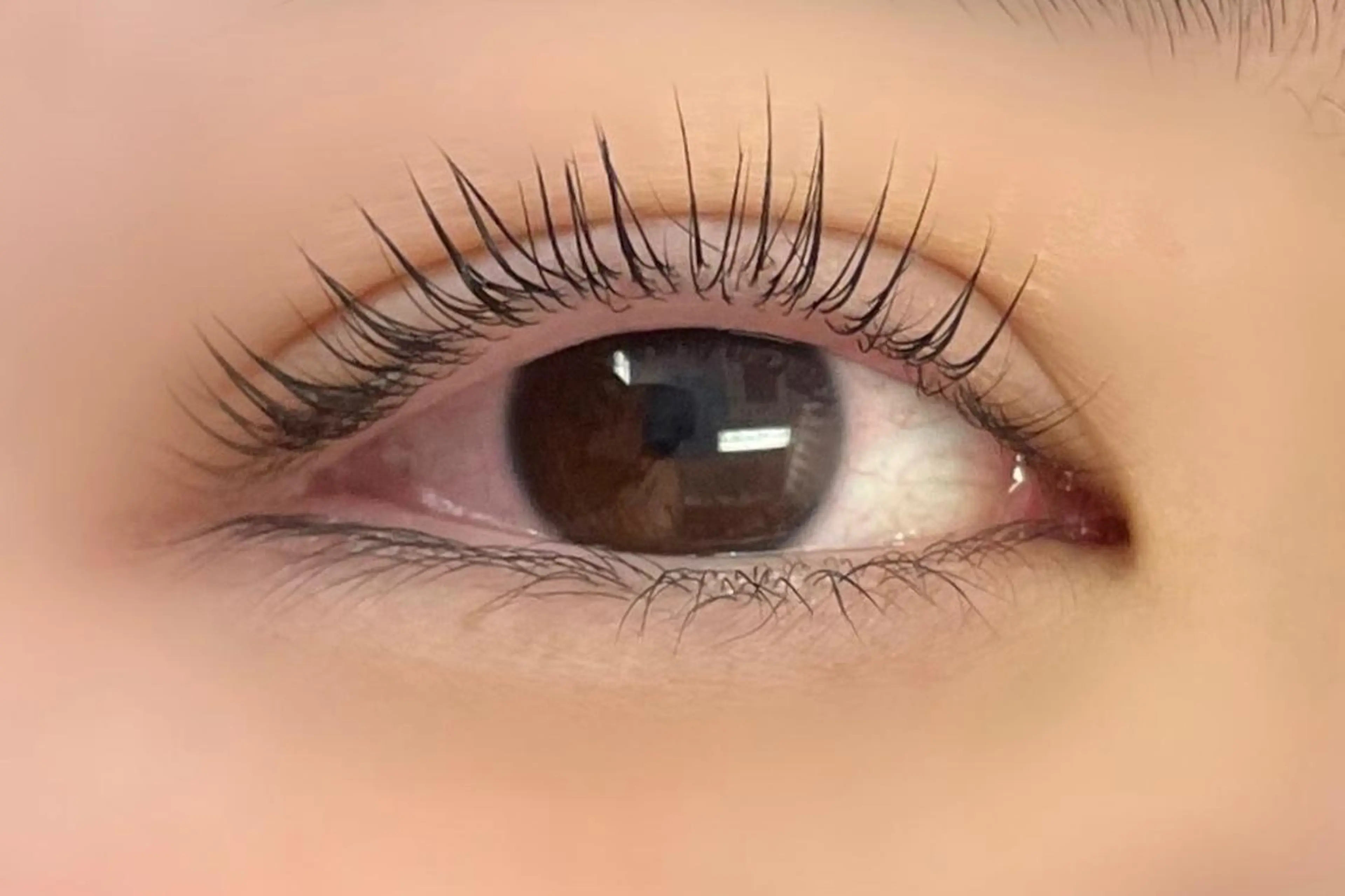 マツエク・マツパ マツパ 大阪福島 韓国まつげ Sayaka🤍🐩のマツエク・マツパデザイン