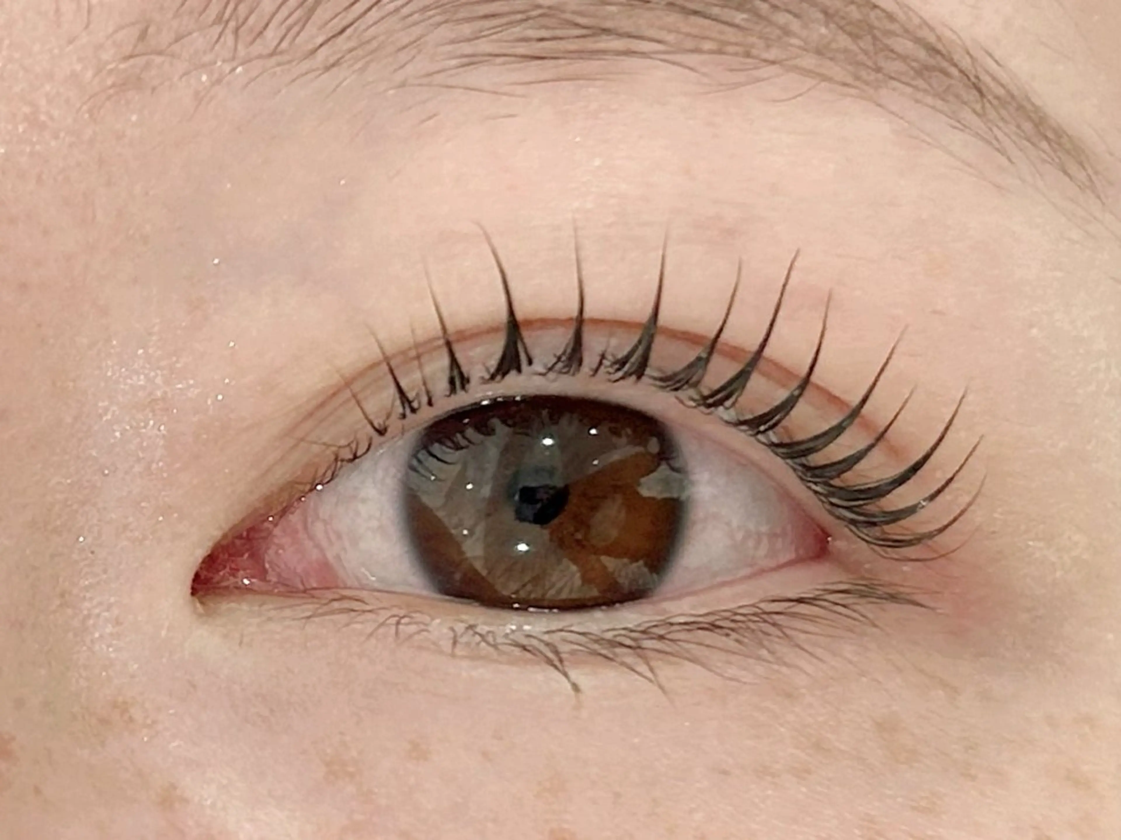 マツエク・マツパ eyelash&eyebrow Lupinus【ルピナス】所属・Lupinus 南草津店のマツエク・マツパデザイン