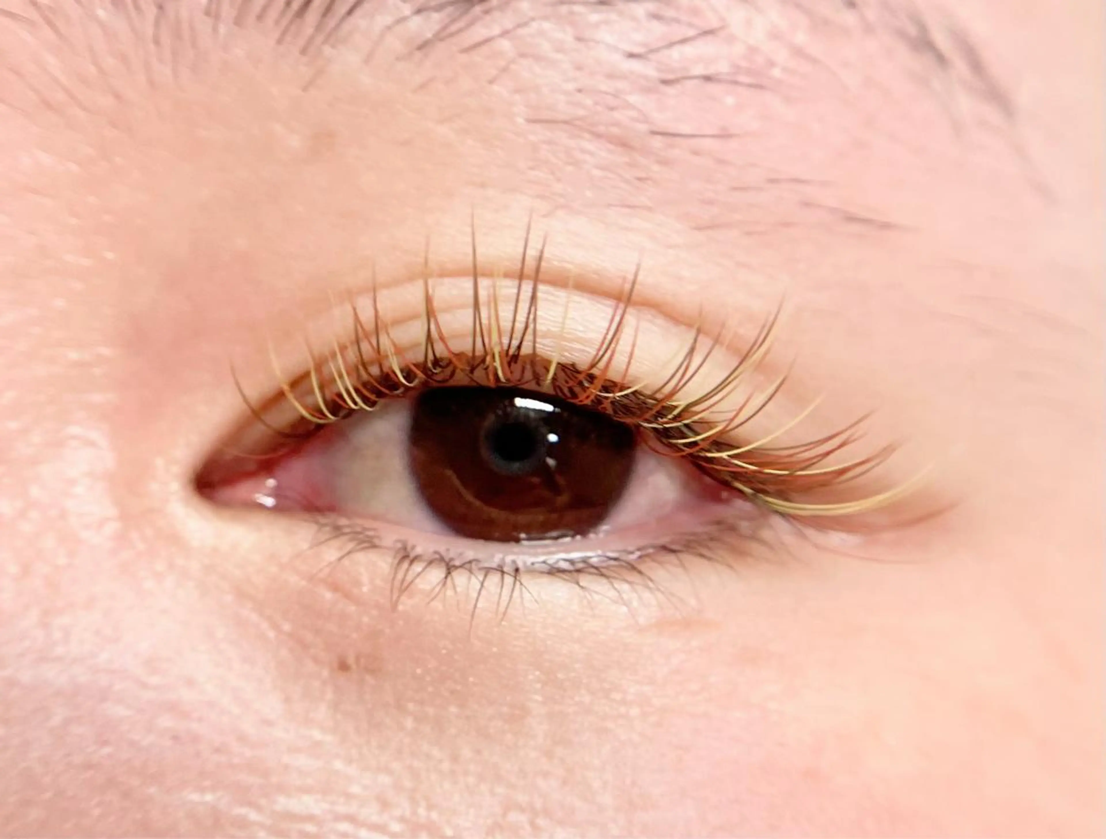 マツエク・マツパ カラーマツエク マツエク La Peche momokoのマツエク・マツパデザイン