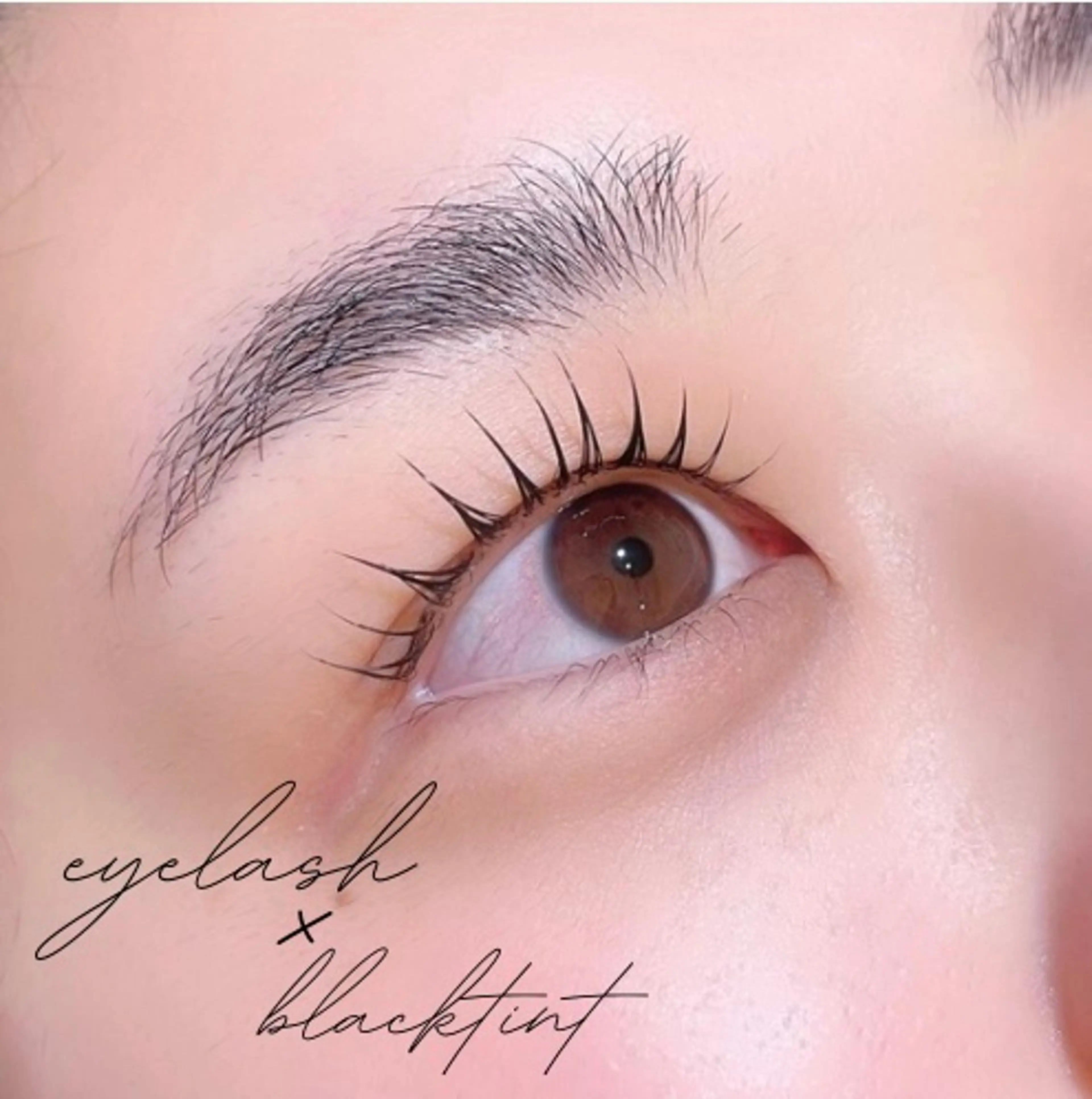 マツエク・マツパ 束感まつ毛 フラットラッシュ 韓国風マツエク パリジェンヌラッシュリフト まつげパーマ マツパ nail&eye AO(ネイルアンドアイアオ)所属・AO maoのマツエク・マツパデザイン