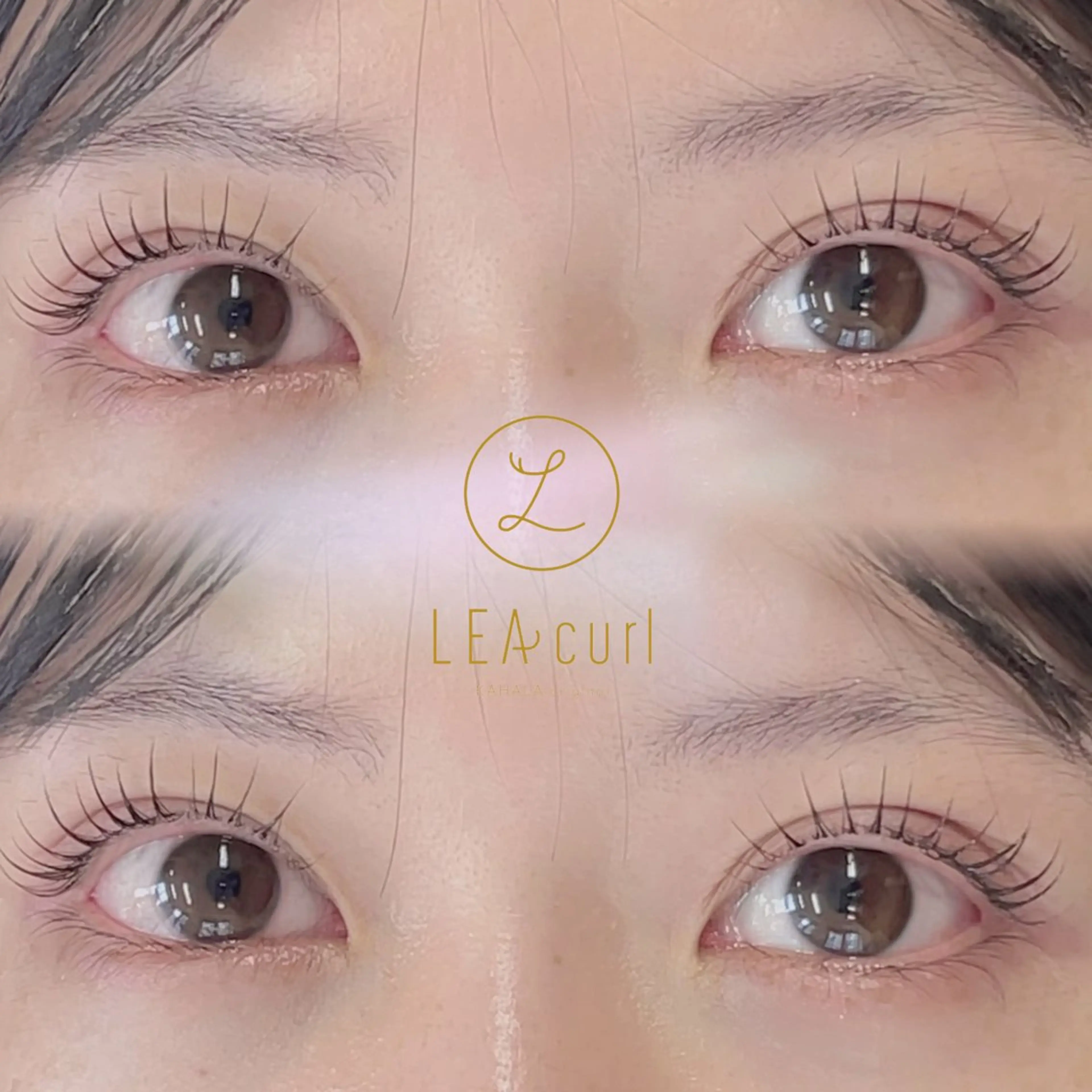 マツエク・マツパ R🌹 ⁺⊹˚.のマツエク・マツパデザイン