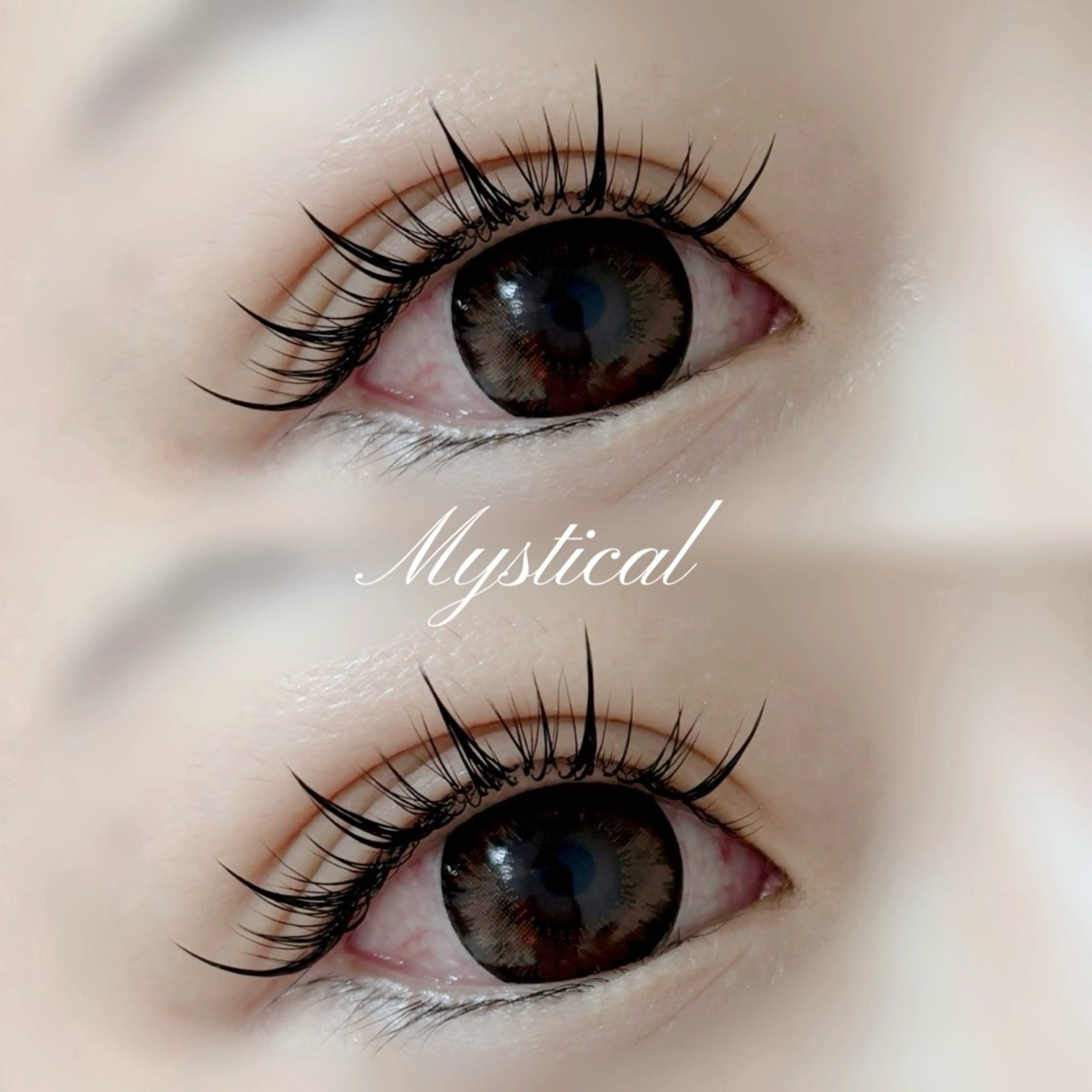 マツエク・マツパ カラーマツエク フラットラッシュ ボリュームラッシュ ワンホンマツエク Mori ✨Mystical✨のマツエク・マツパデザイン