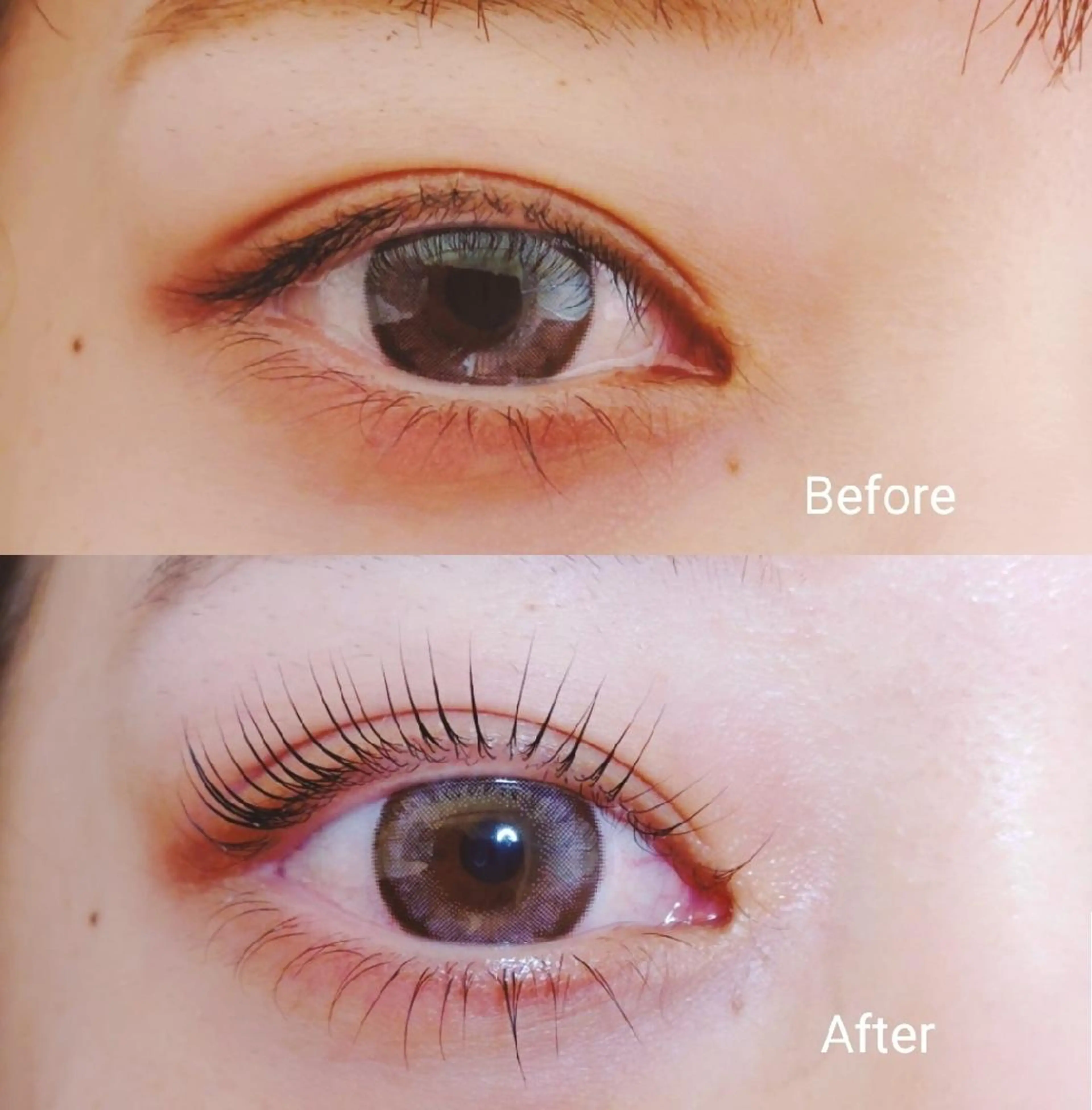 マツエク・マツパ パリジェンヌラッシュリフト Anela柏店 MEI🍒のマツエク・マツパデザイン