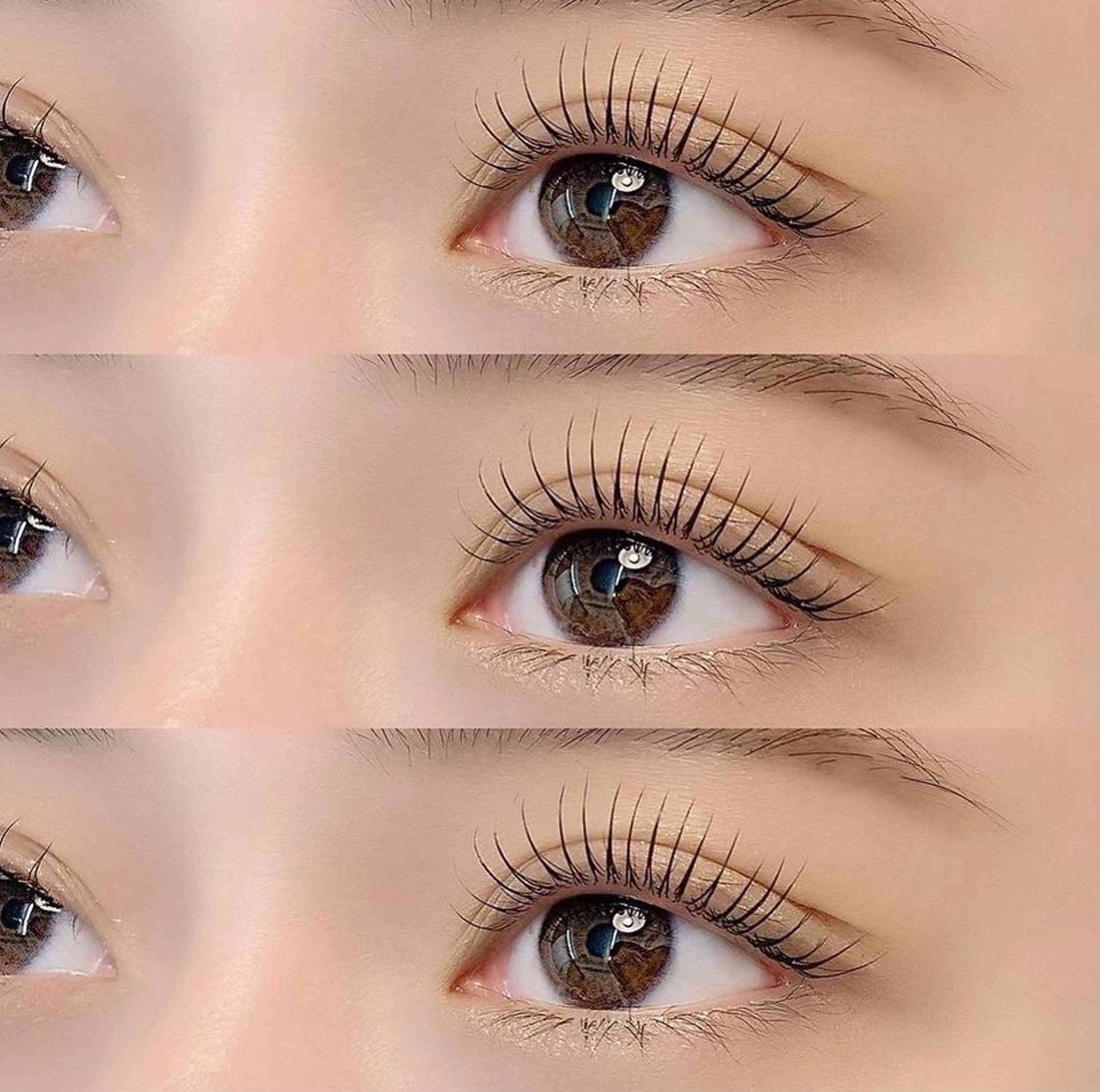 再来ラッシュリフト[まつげパーマ]、美容液付き(^.^)5000円🌹の写真