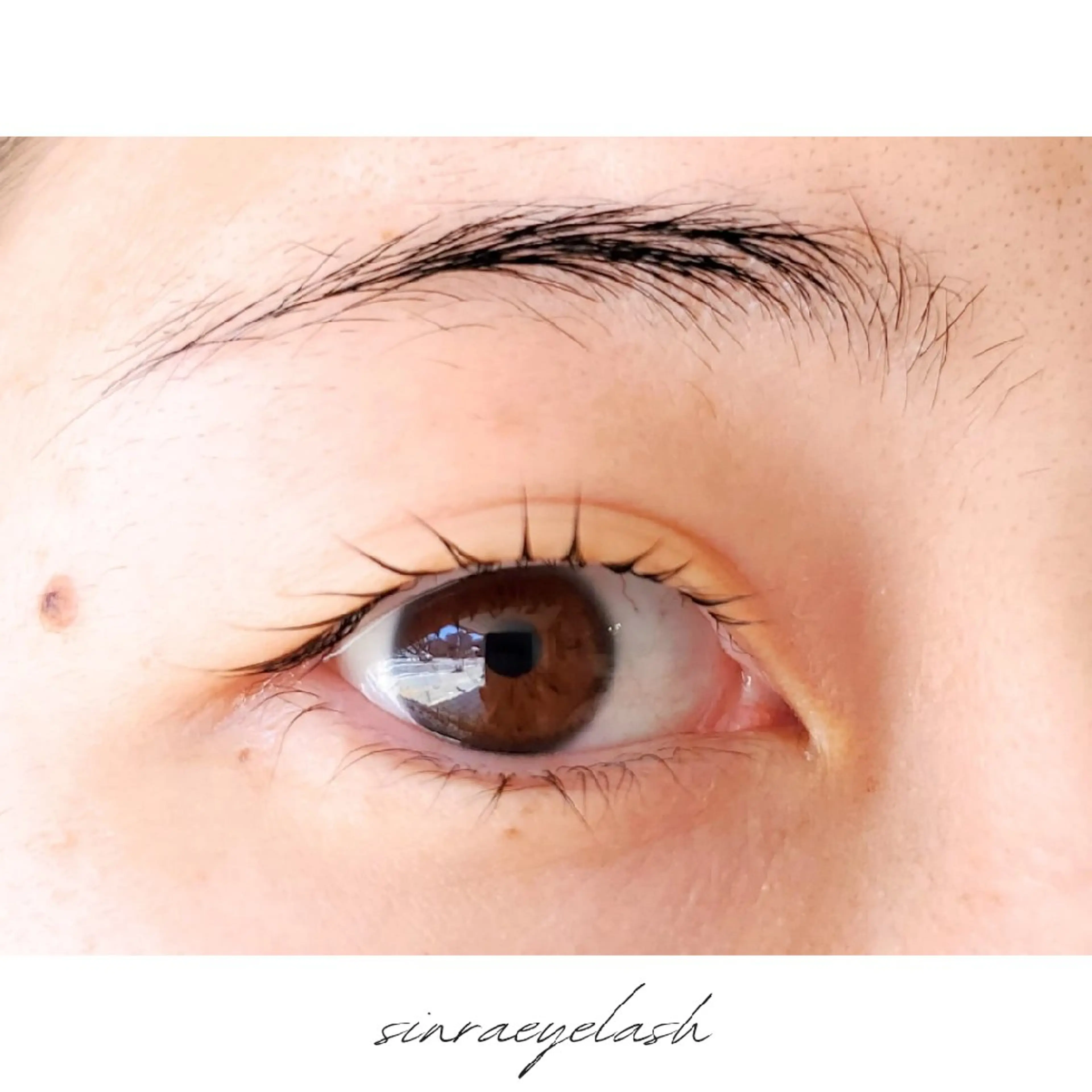 マツエク・マツパ ケラチンラッシュリフト まつげパーマ シンラアイラッシュ所属・シンラアイラッシュ Hikariのマツエク・マツパデザイン