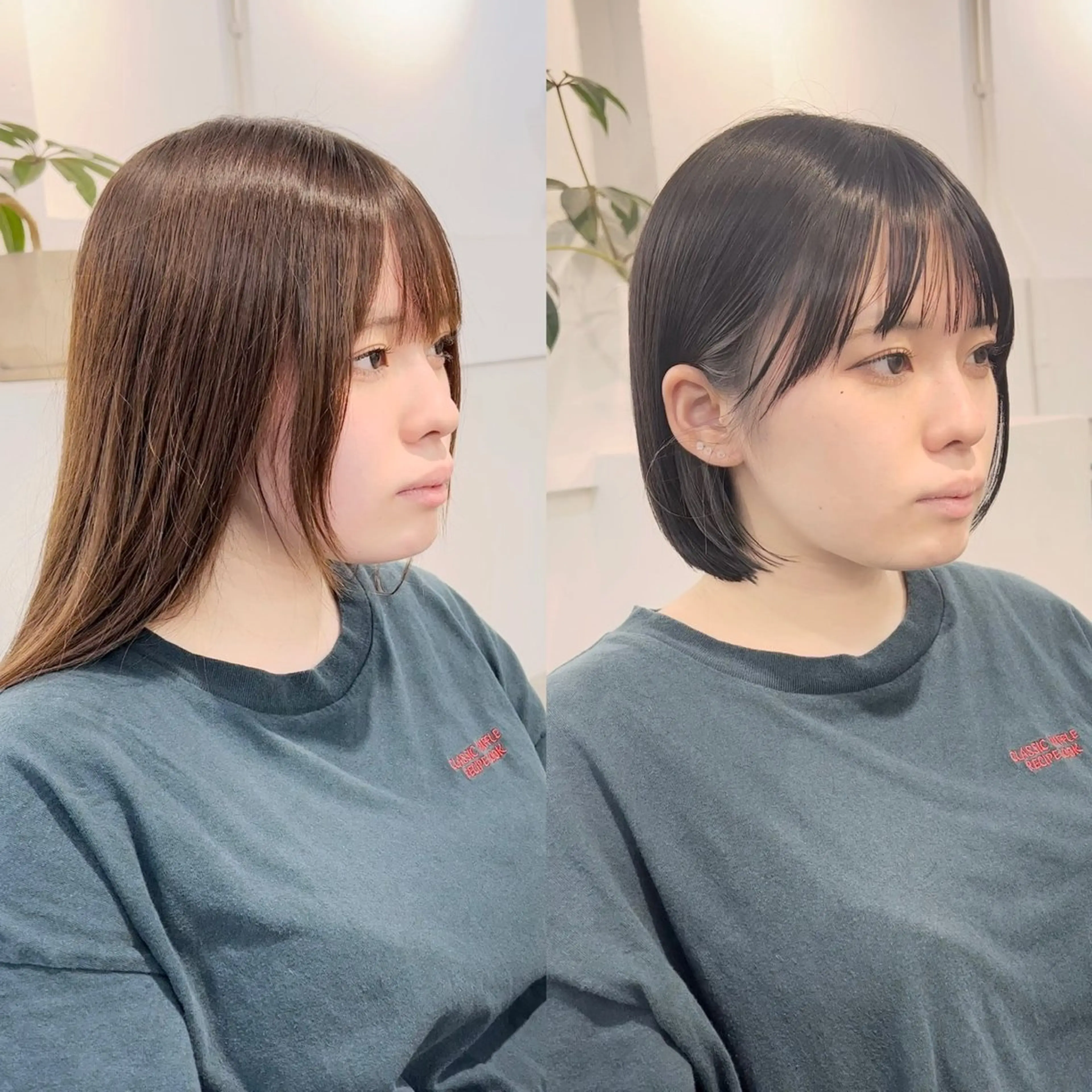 ショート カラー カット ヘアカラー トリートメント 田尻 維孝/ショート/ボブのヘアスタイル