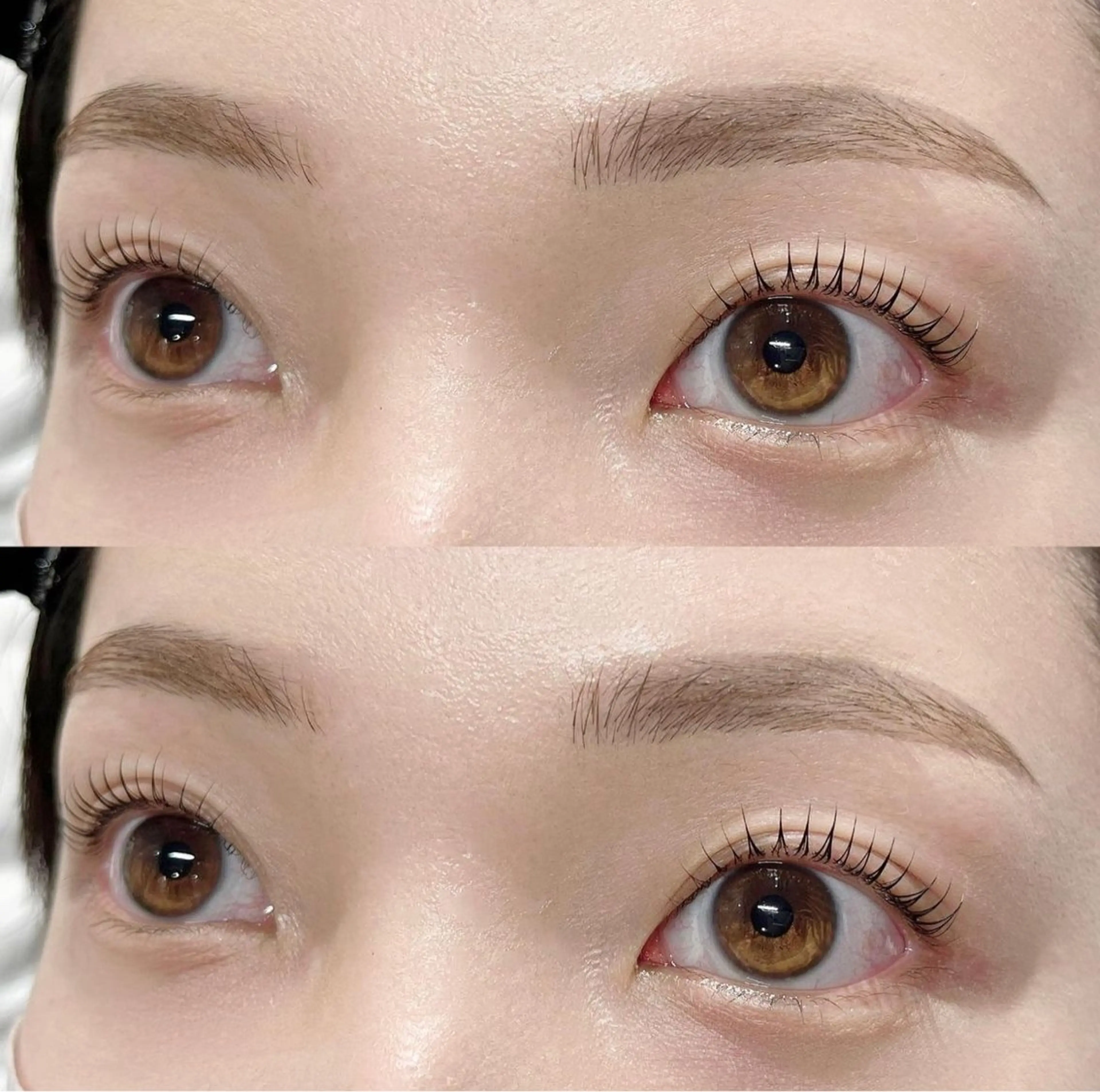 🐚眉Wax &まつげパーマorパリジェンヌ🫧(TR.仕上げのコーティング付き✨)の写真