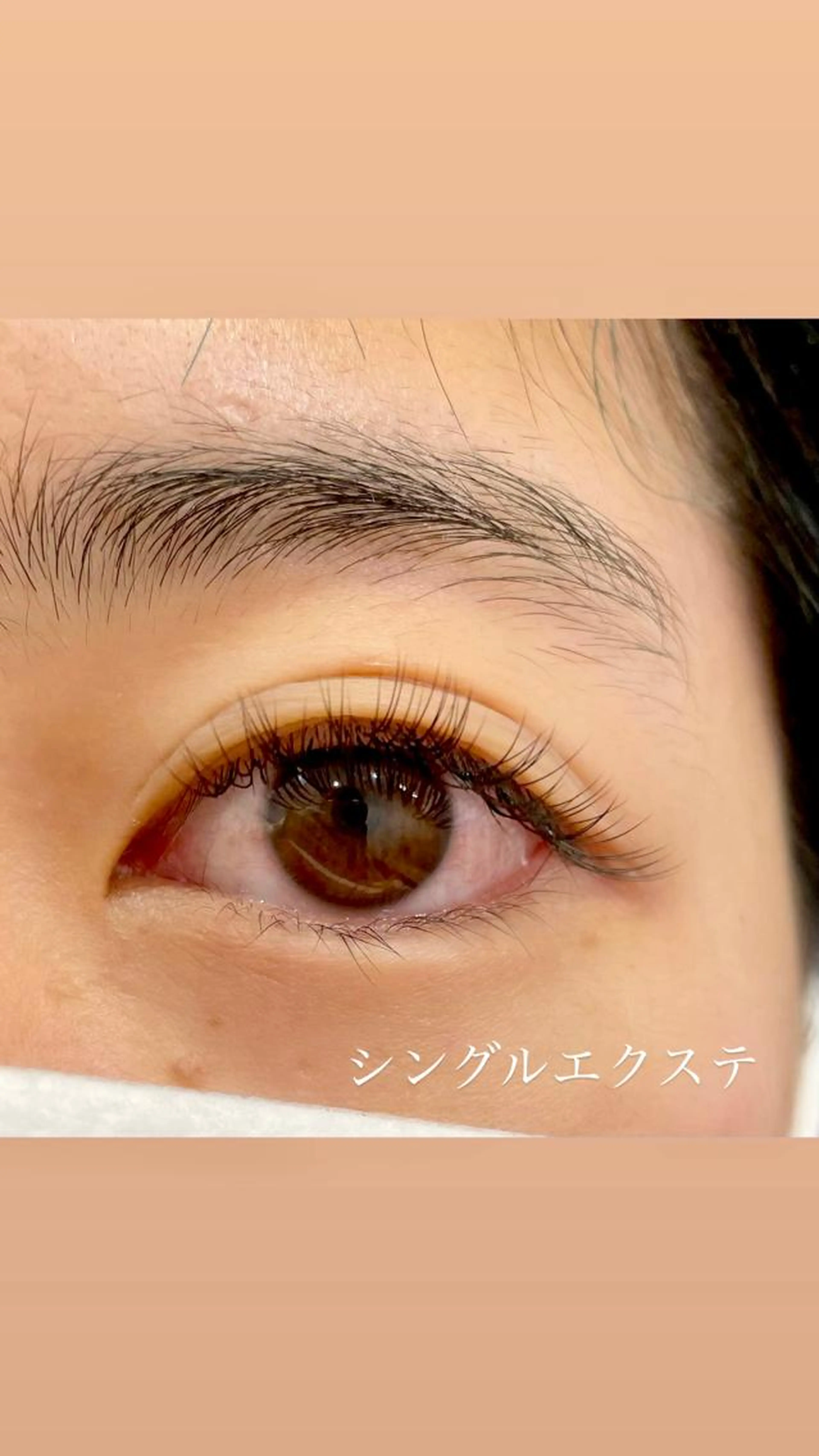 🎀シングルエクステ🎀120本まで✨《ミニモ限定クーポン》最高級セーブル使用！初回オフ無料☺︎の写真