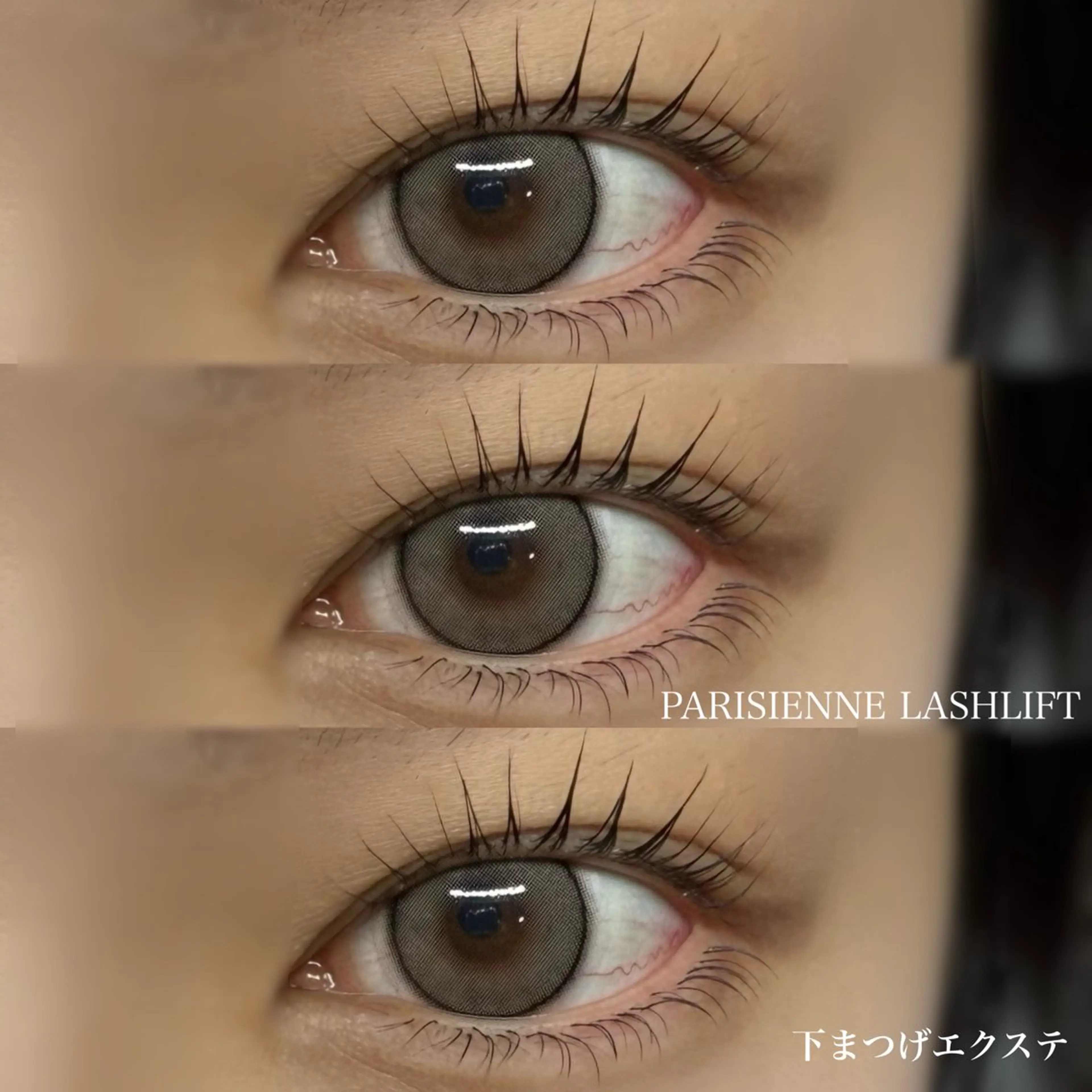 マツエク・マツパ パリジェンヌラッシュリフト 下まつげエクステ マツパ NOA 名駅 まつげ SENA‪🎀のマツエク・マツパデザイン