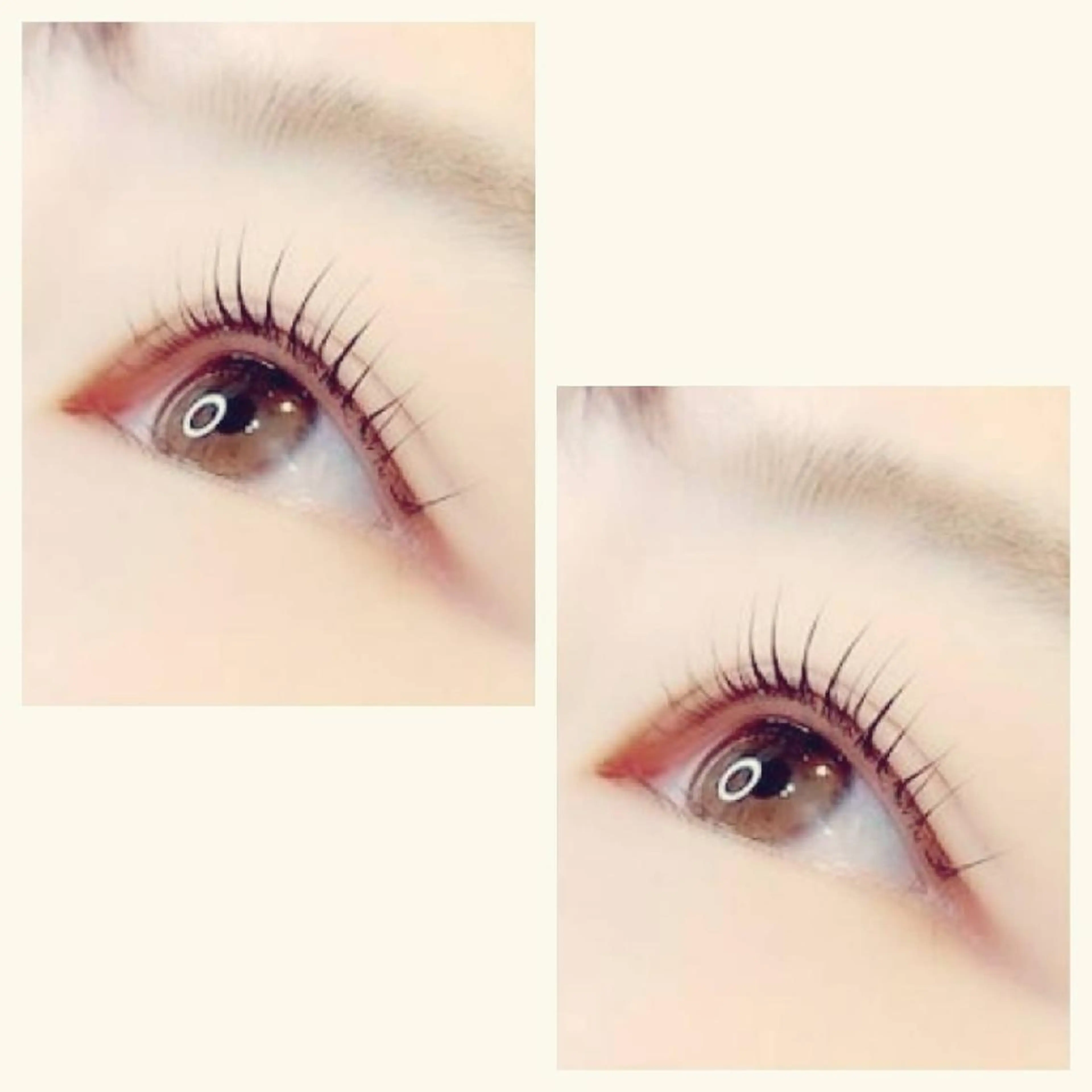 マツエク・マツパ violus所属・violus 天六のマツエク・マツパデザイン