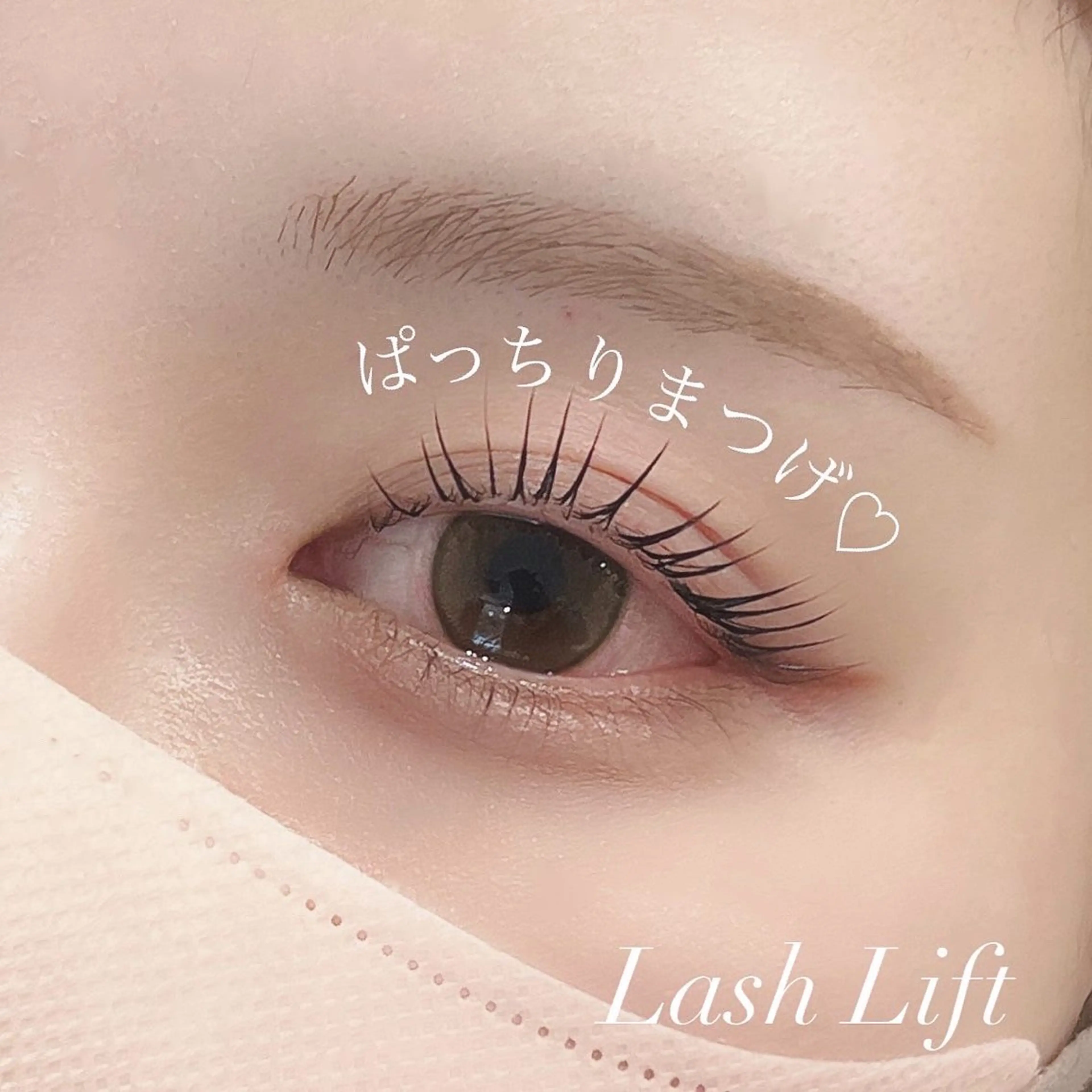 似合わせラッシュリフト【まつげパーマ】の写真