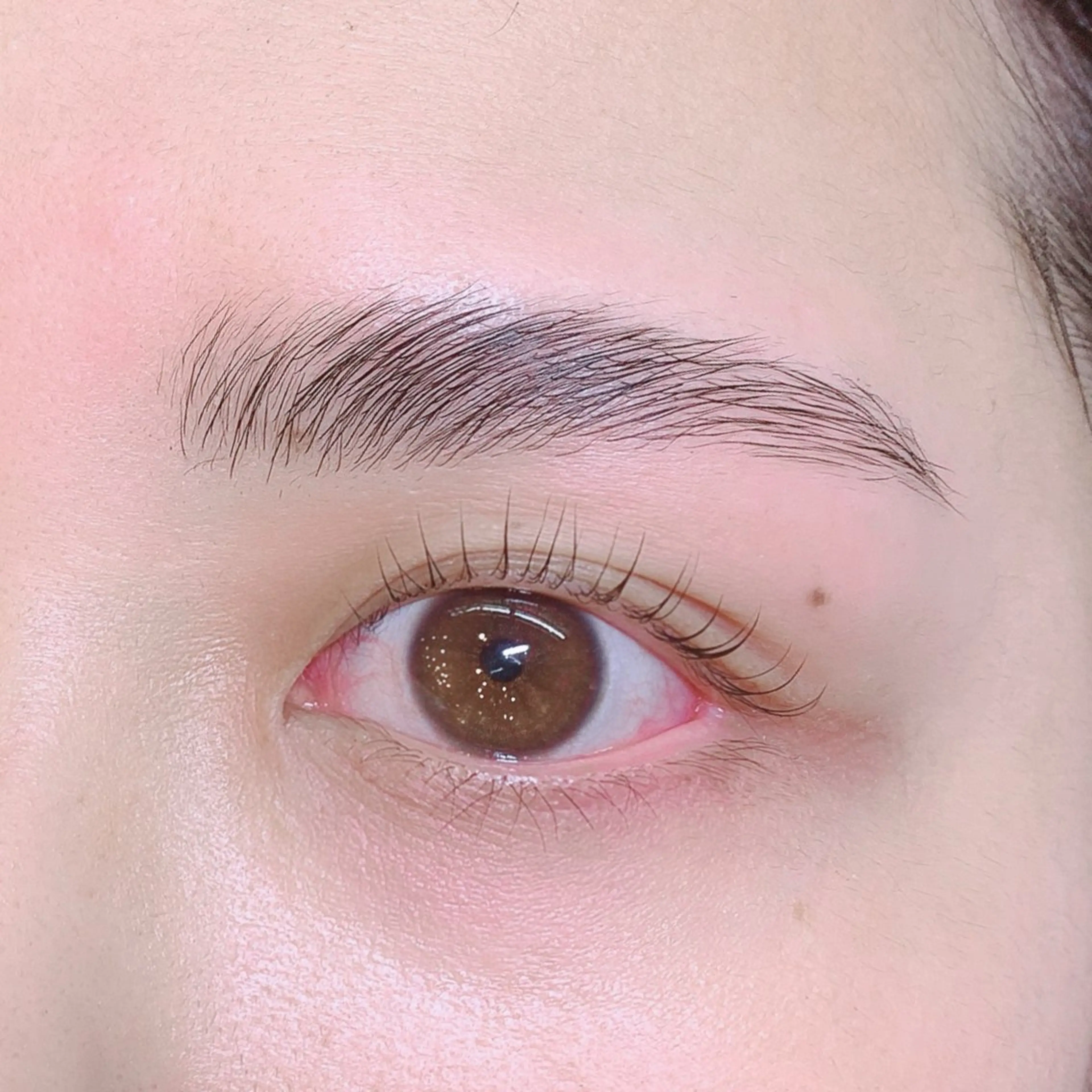 アイブロウ マツパ komatsu 🫧のマツエク・マツパデザイン