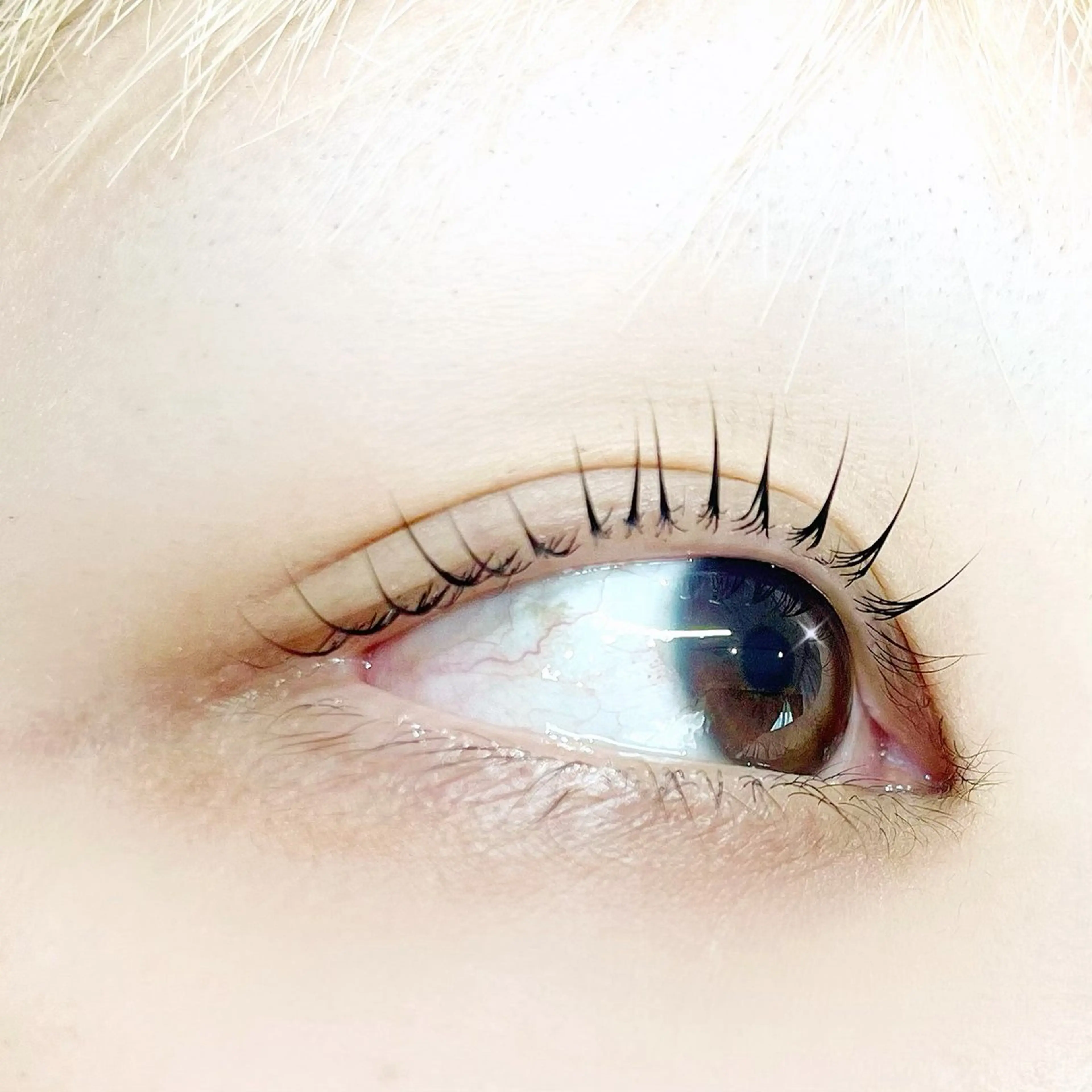 マツエク・マツパ まつげパーマ lrie ／  moeのマツエク・マツパデザイン