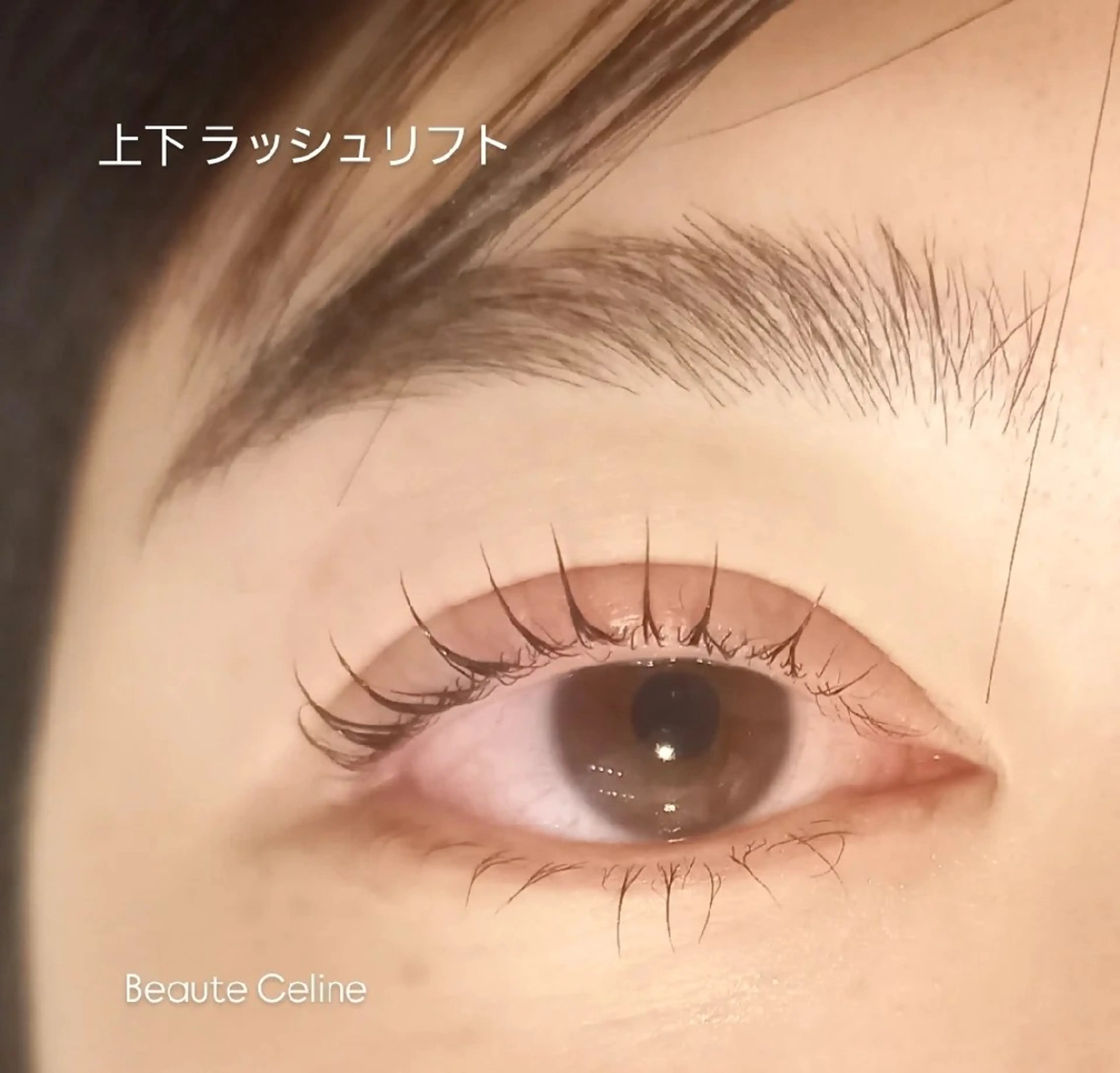 マツエク・マツパ マツパ beaute.celine所属・ぱっちりパーマ🤎 ﾎﾞｰﾃCelineのマツエク・マツパデザイン