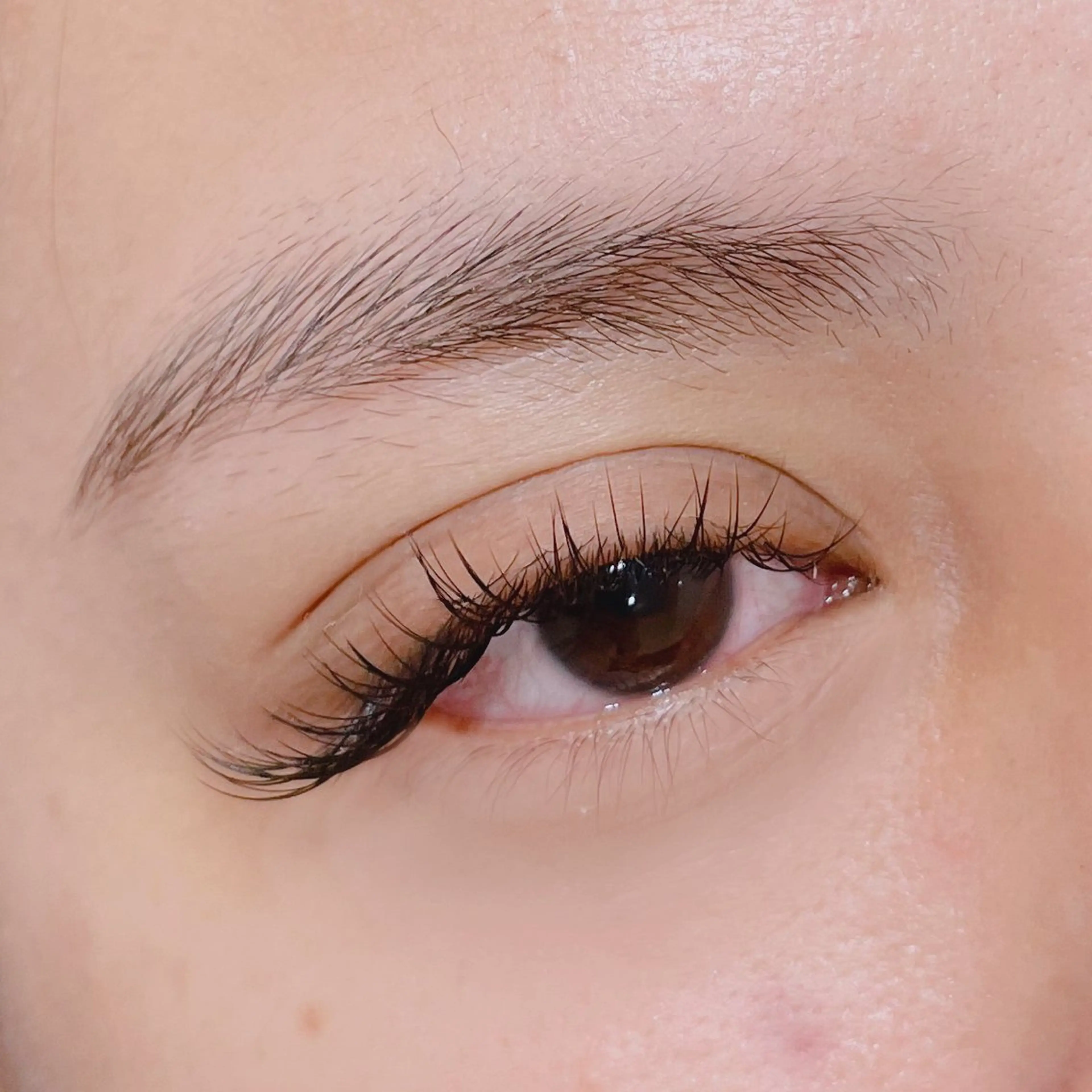 【新規様】ミニモ特別価格♩高品質セーブルラッシュつけ放題（オフ込・コーティング付）の写真