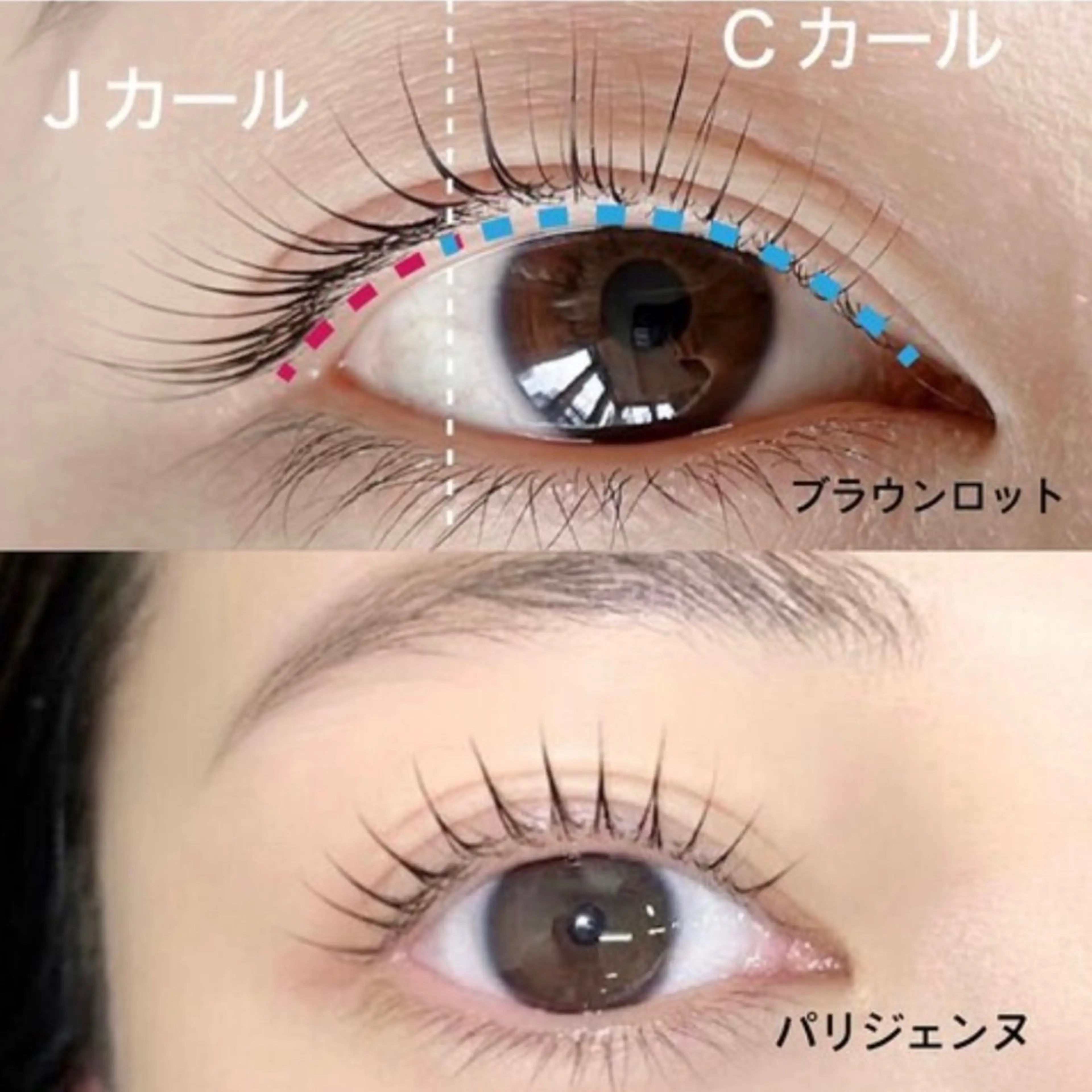 パリジェンヌorLDカールorブラウンロッドから選べる立ち上げラッシュリフトの写真