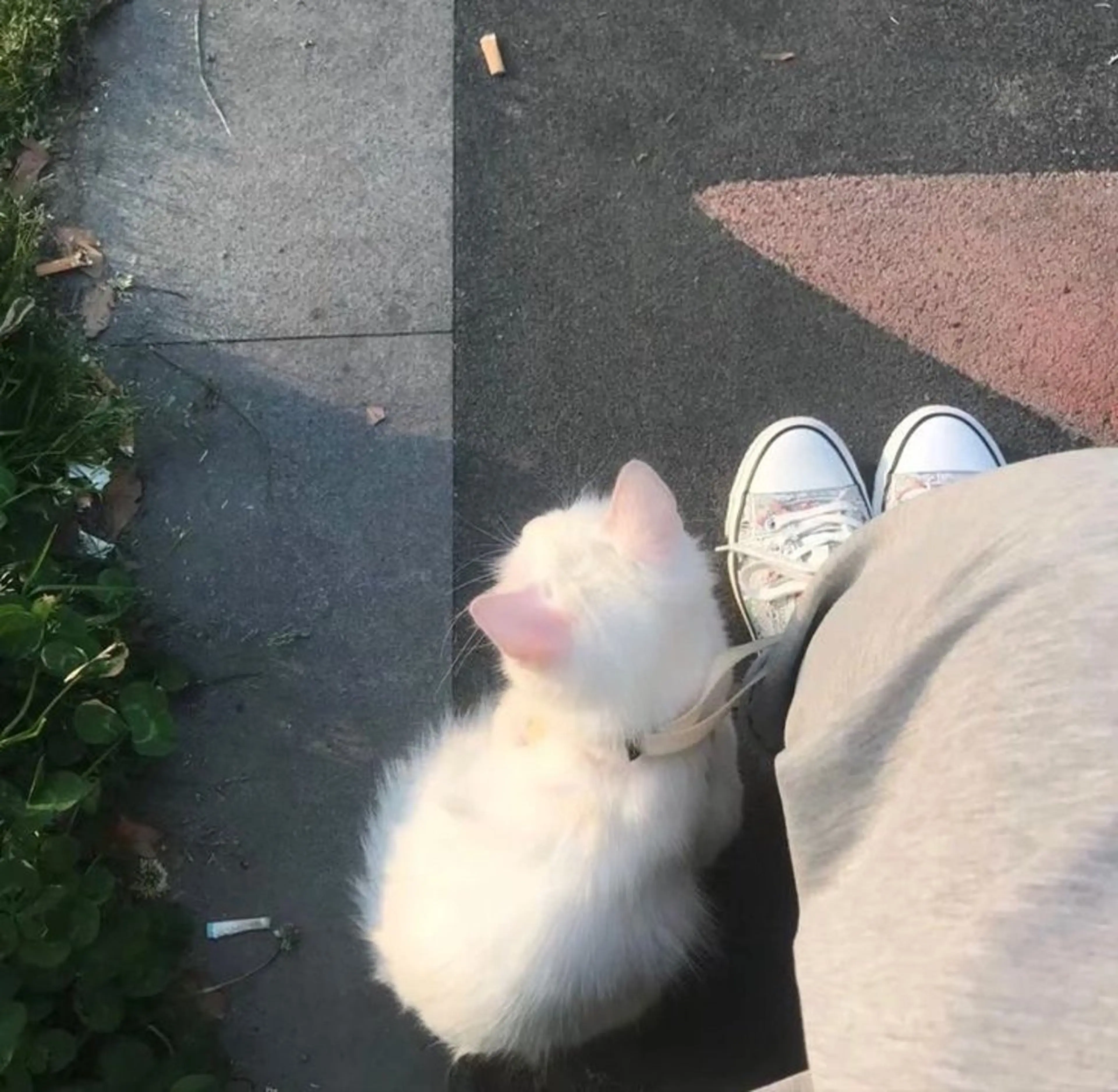 マツエク・マツパ n 🪽のマツエク・マツパデザイン