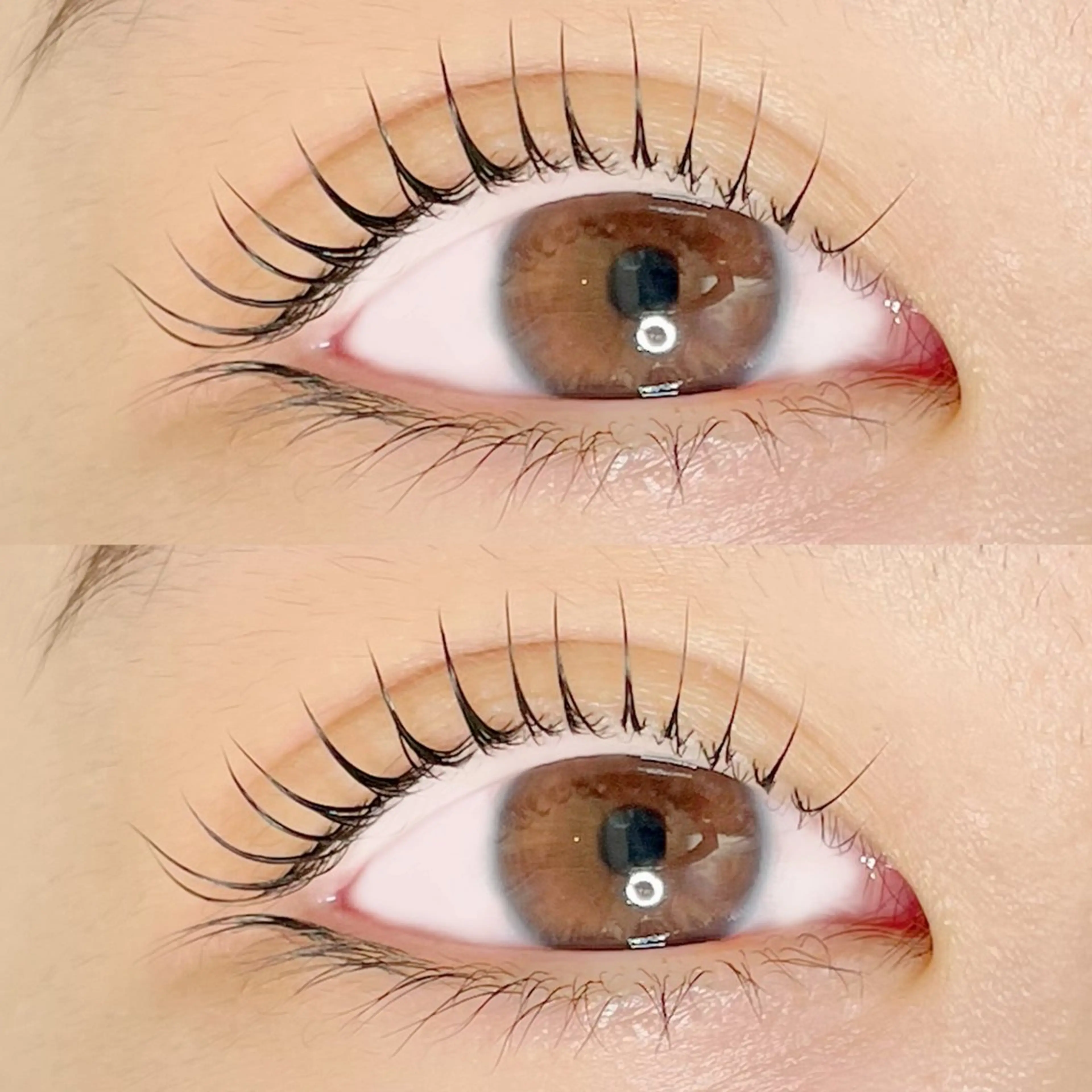 マツエク・マツパ マツパ AYLASH🧡 猪又のマツエク・マツパデザイン