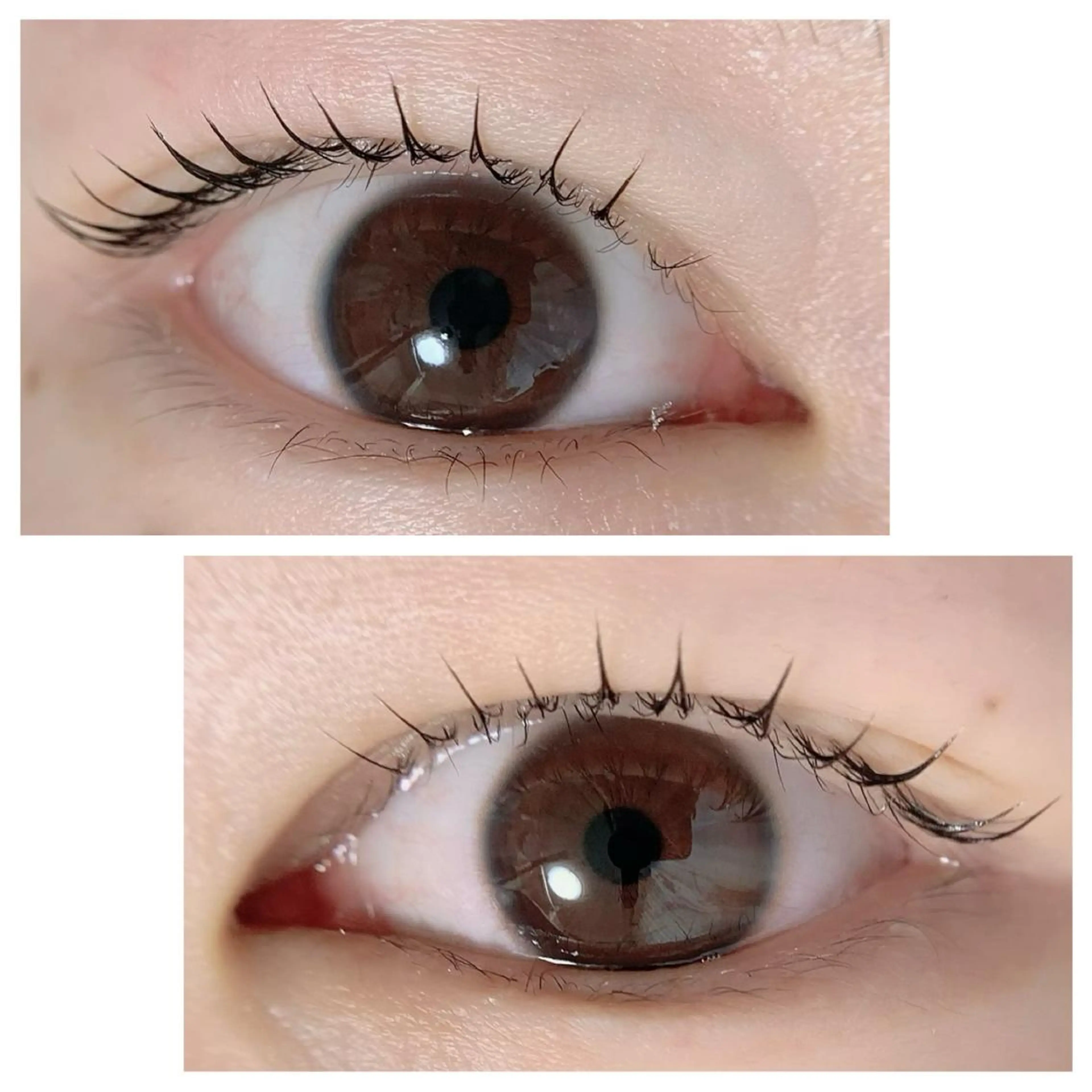 マツエク・マツパ Adorer(アドレ)所属・Adorer 🍀アドレ🍀のマツエク・マツパデザイン