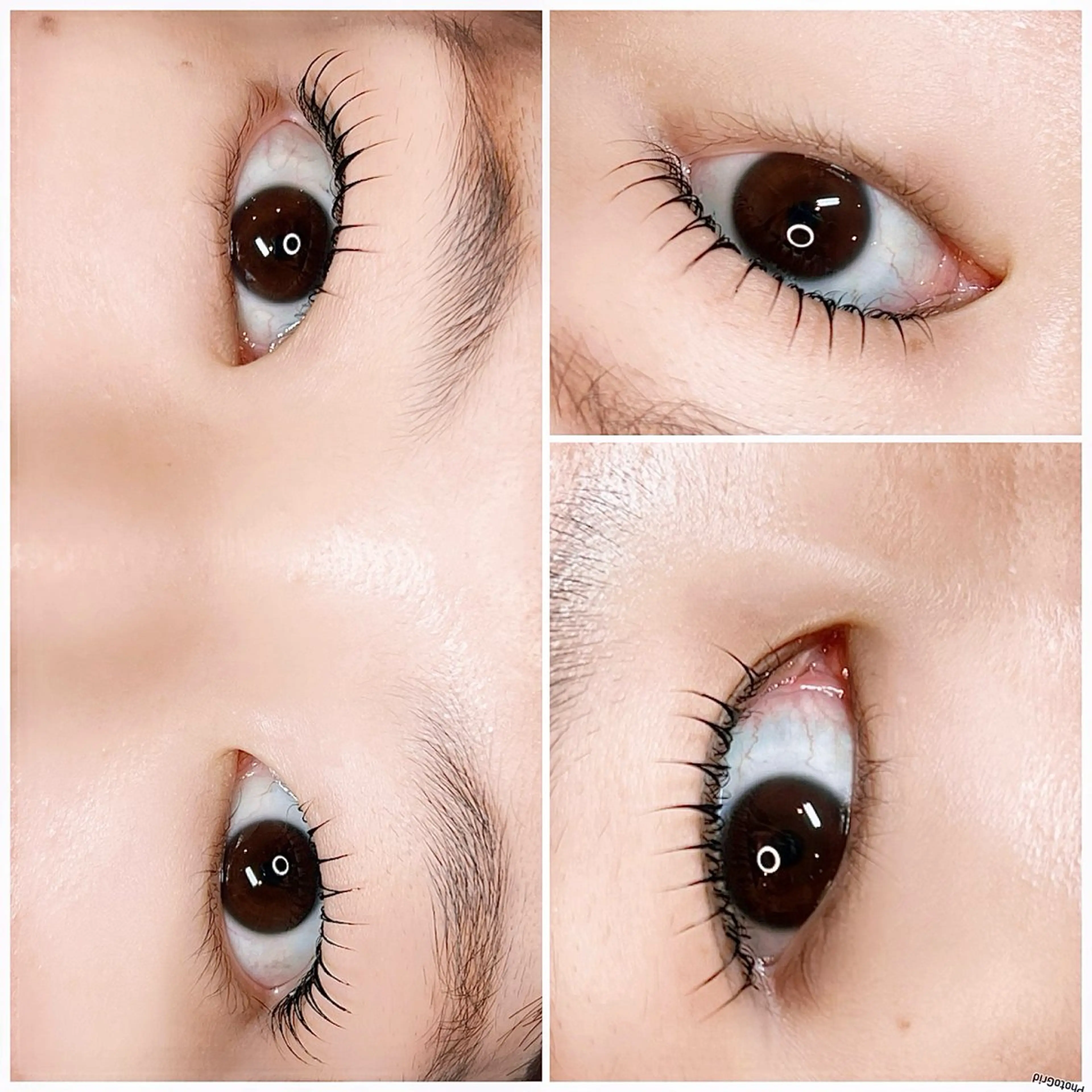 マツエク・マツパ マツパ molunka chikaのマツエク・マツパデザイン