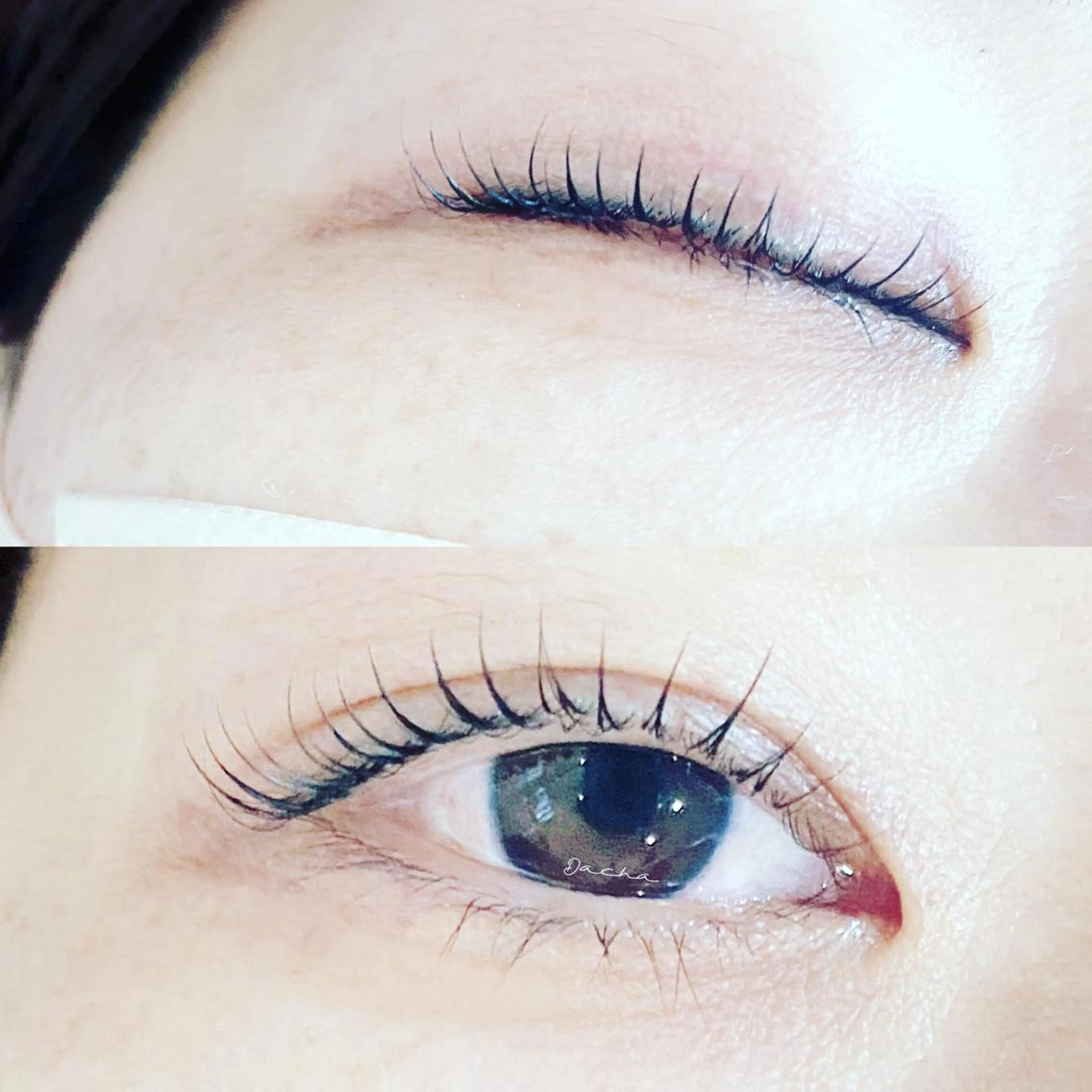 マツエク・マツパ Dacha まつ毛屋さんのマツエク・マツパデザイン