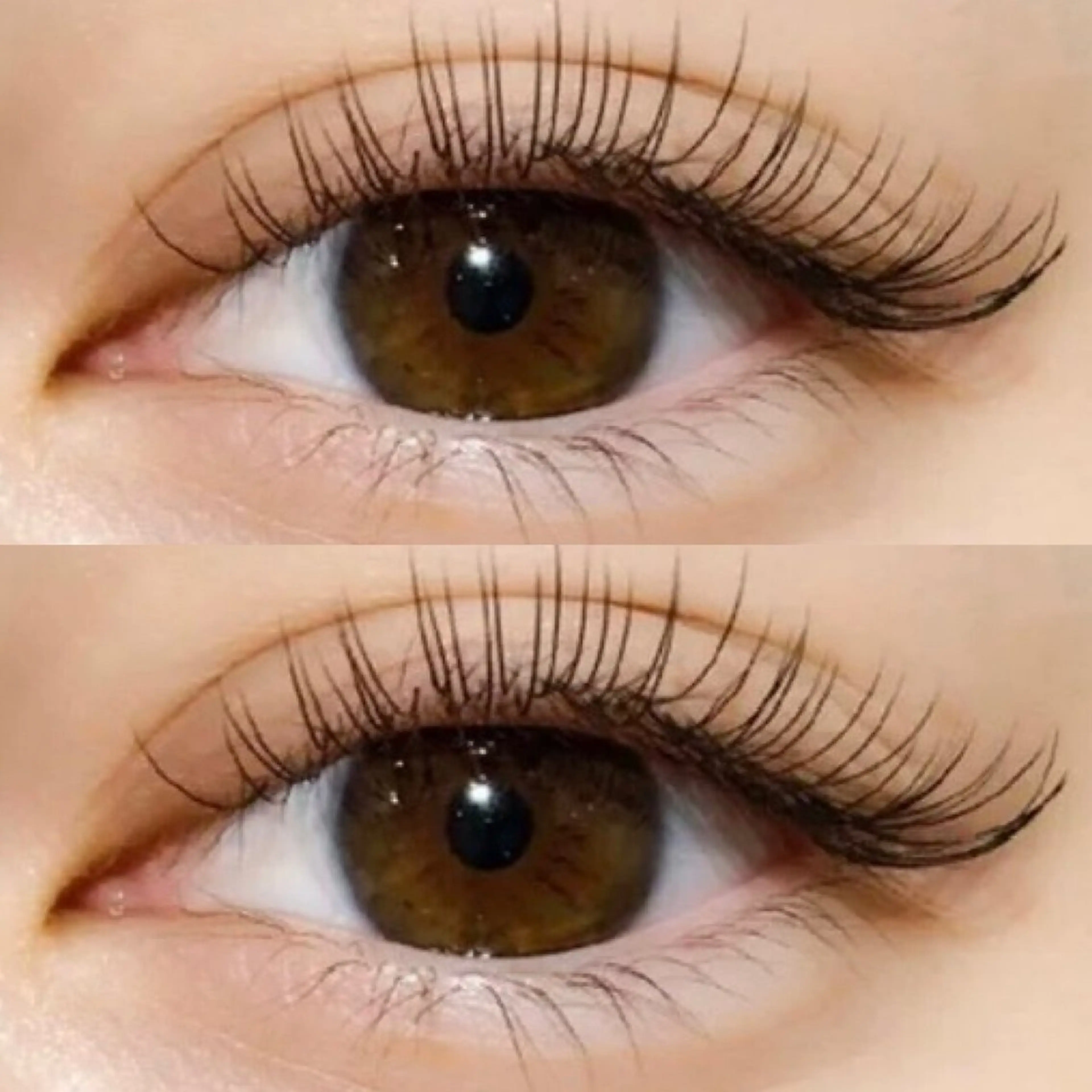 マツエク・マツパ Toware【トワレ】所属・Toware SUMIDAのマツエク・マツパデザイン