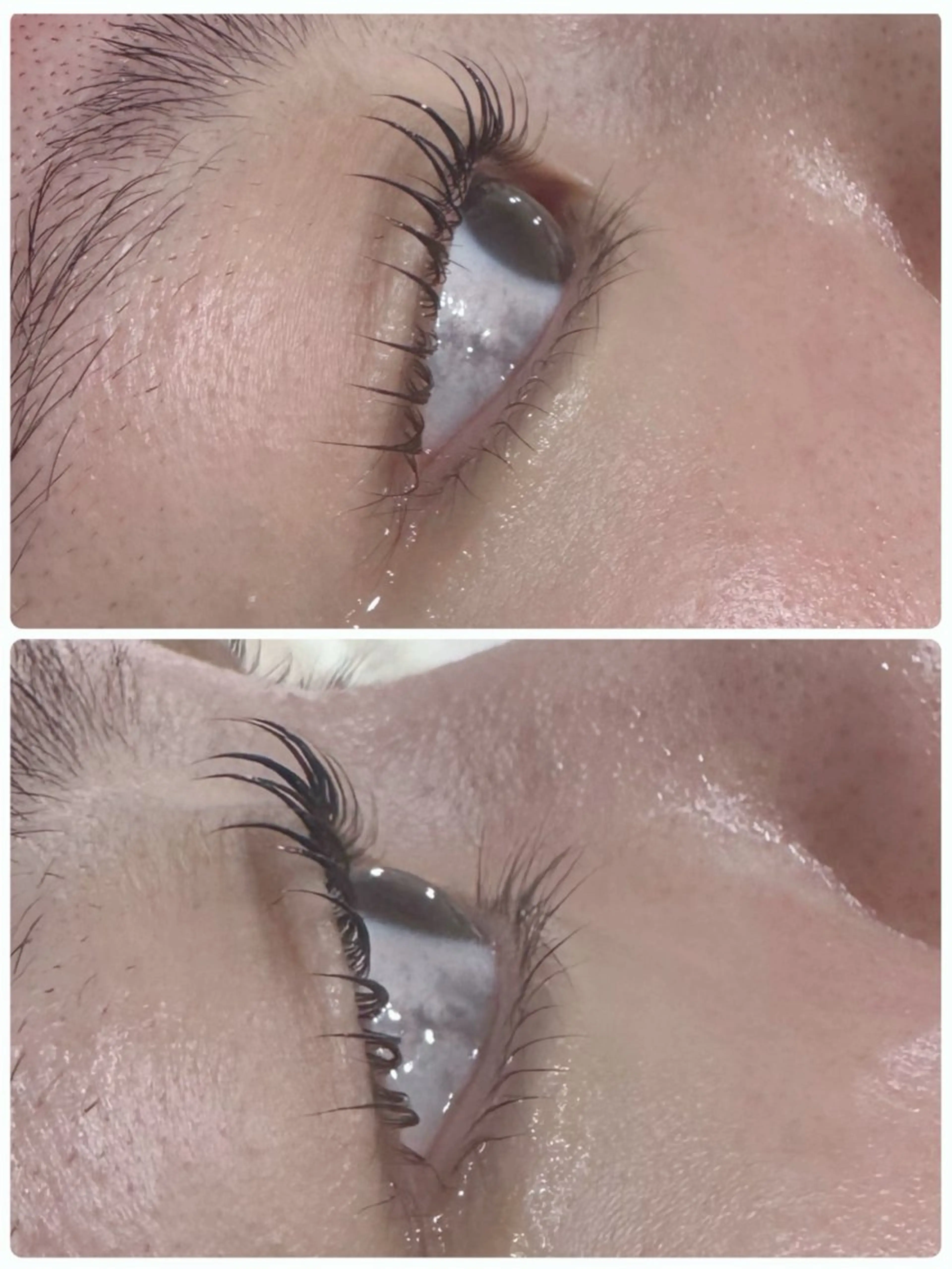 マツエク・マツパ 一重×まつ毛パーマ マツパ マリーテレジア USUIのマツエク・マツパデザイン