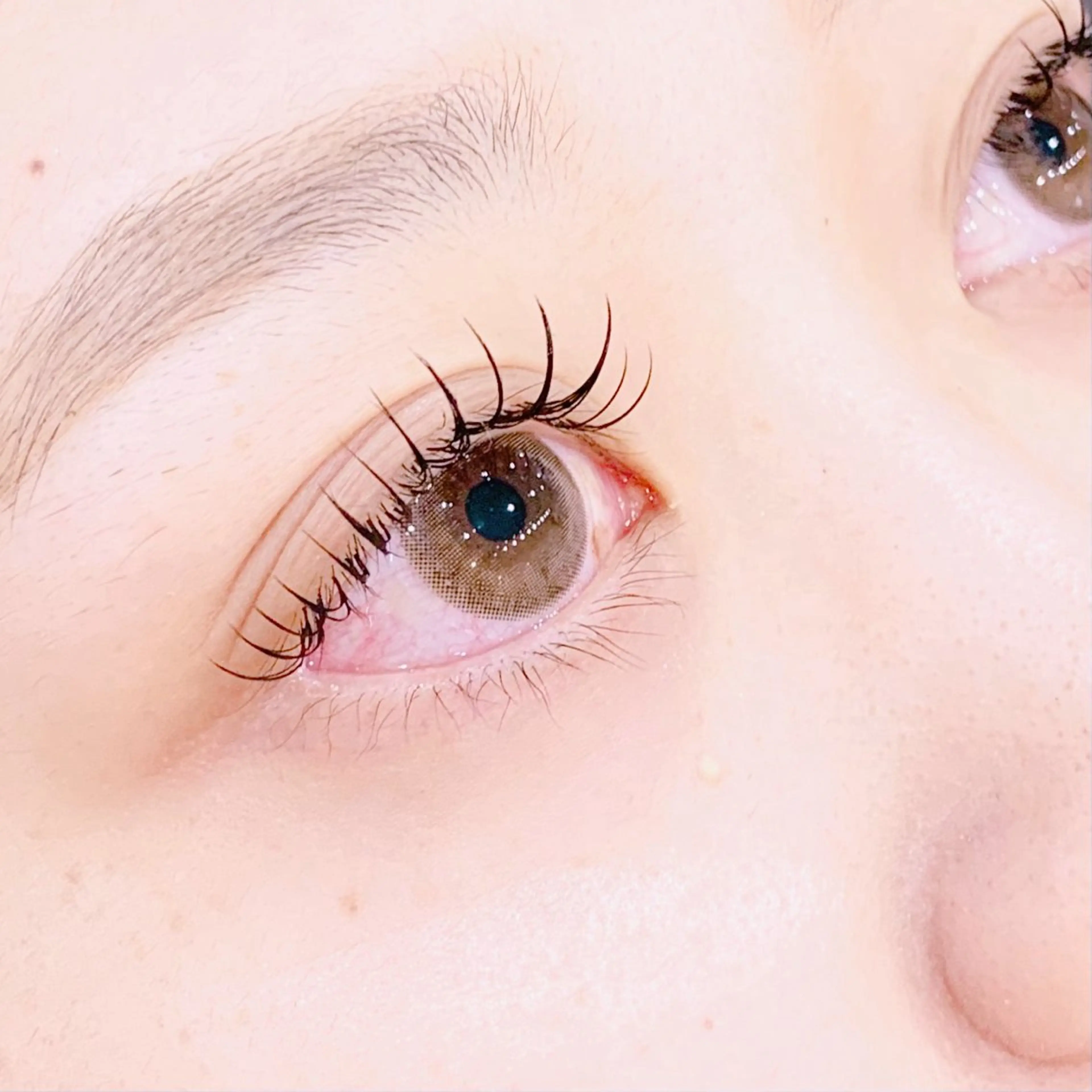 【ご新規様限定】オフなしフラットラッシュ120本の写真