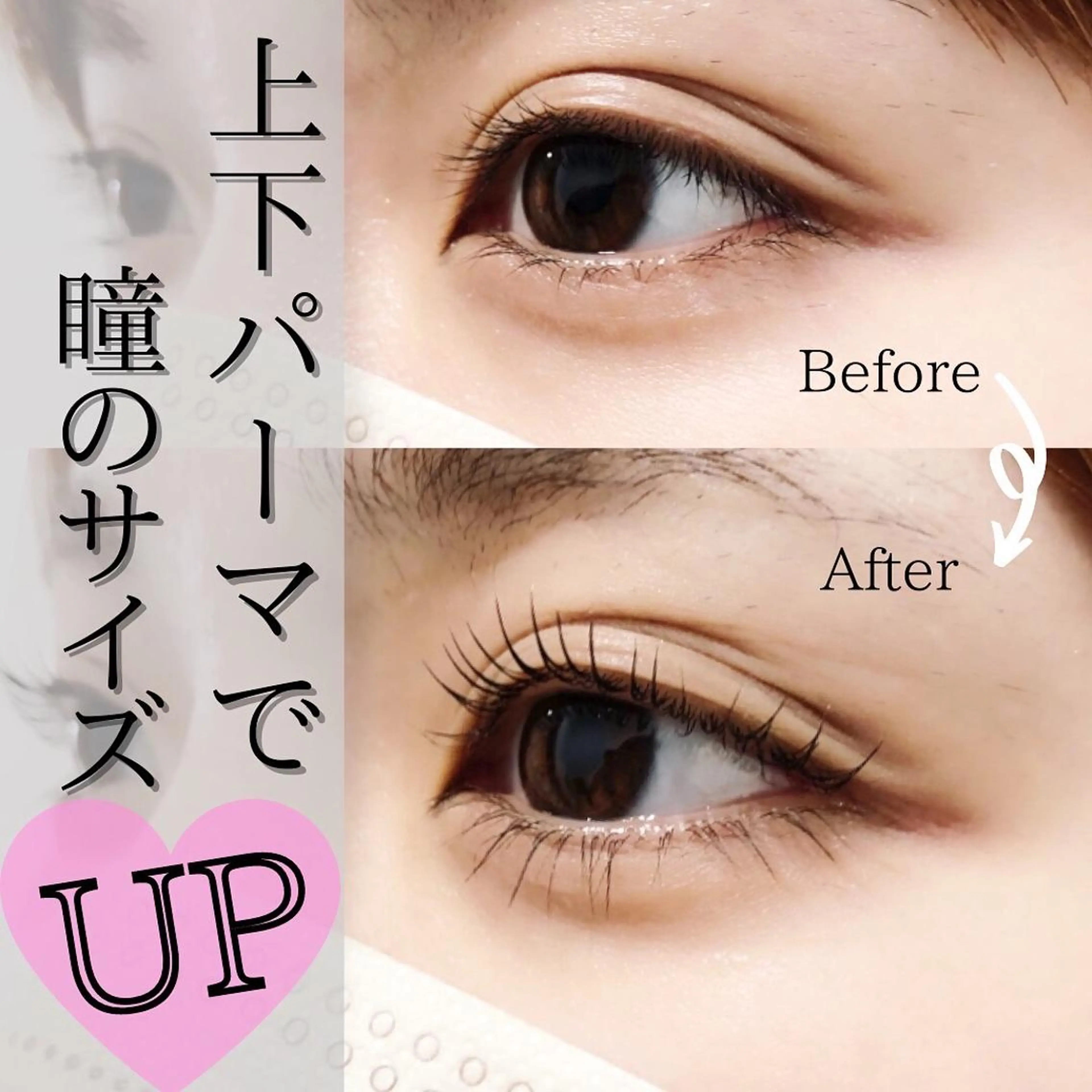 🌷下まつげパーマ🌷 ¥3,500-の写真